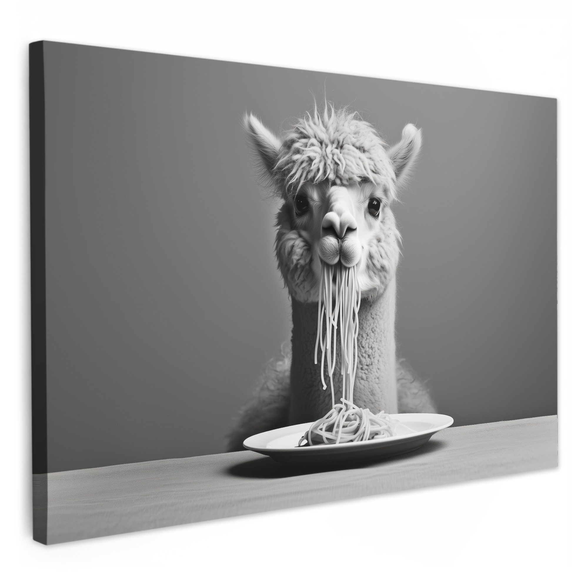 OneMillionCanvasses® Leinwandbild Alpaka - Nudeln - Schwarz - Weiß - Lustig - Tiere, Fotodruck (1 St), Küchenbilder Modern, Deko Bilder für die Küche 30x20 cm