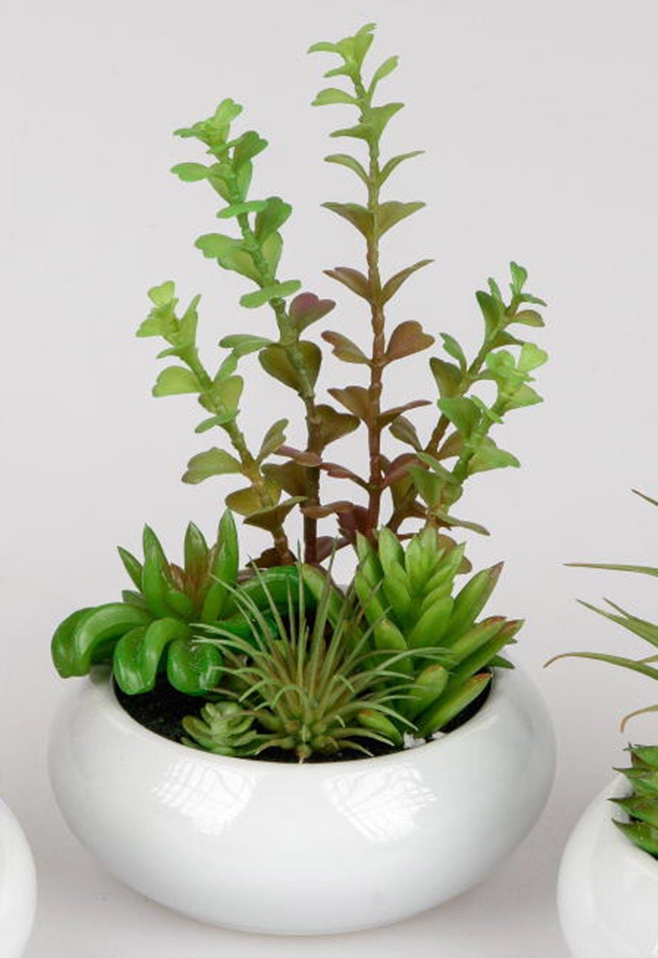 60 cm Kunstpflanze, cm Porzellantopf dekojohnson, im Dekokaktus 15 Kunstblume weißen Höhe Dekojohnson