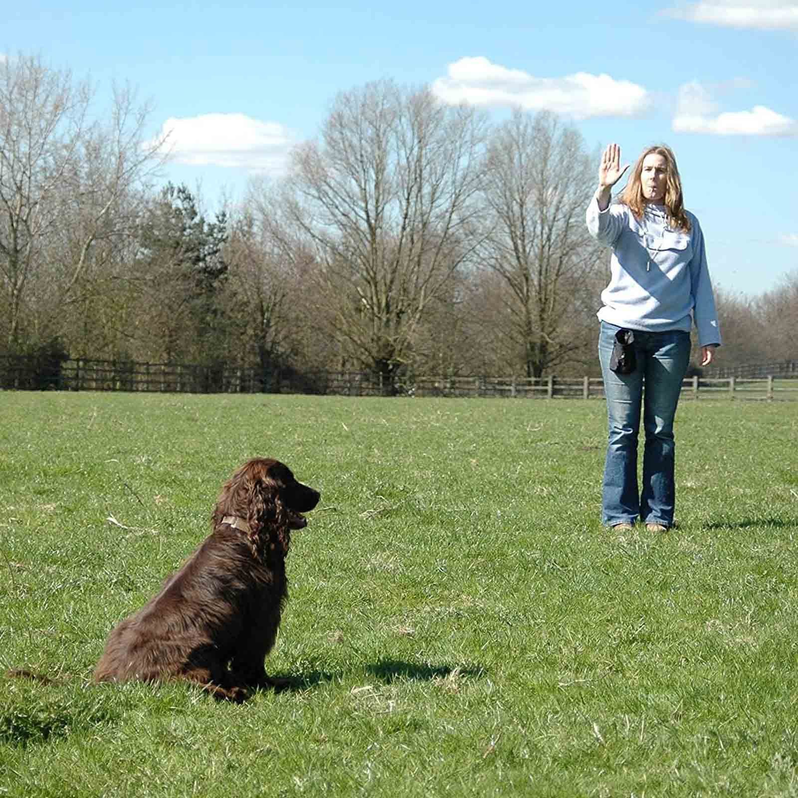 Company of Animals Hundepfeife Stahl Hundepfeife Ultraschall Hundetraining Trainingspfeife, (1-St), Hochfrequenzpfeife Einstellbar bis 350m Reichweite