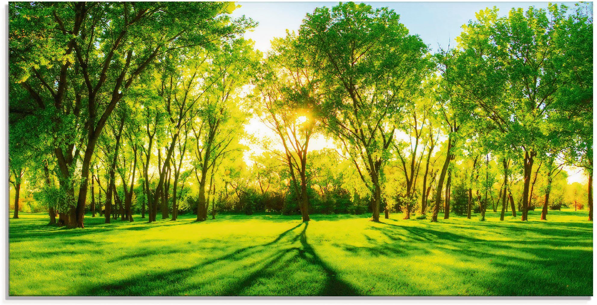 Artland Glasbild Frühlingswärme II, Wiesen & Bäume (1 St), in verschiedenen Größen | Bilder