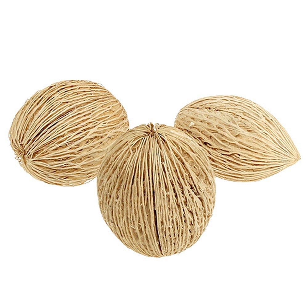 Trockenblume Mintolla Ball Naturdeko gebleicht sortiert günstig online kaufen