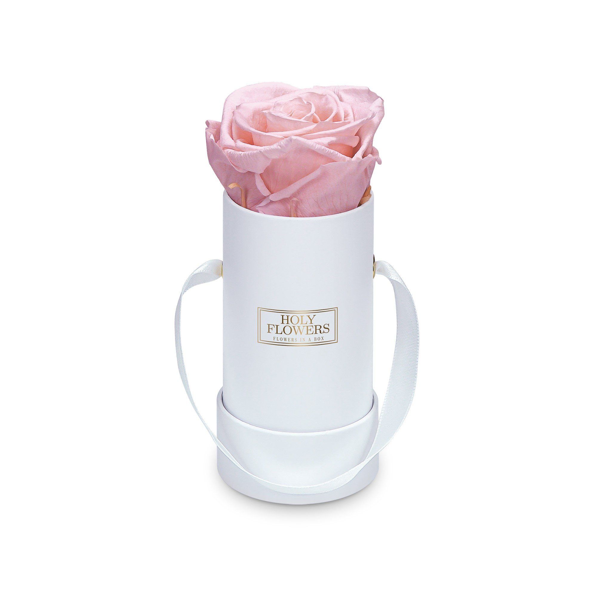 Kunstblume Runde Rosenbox in weiß mit 1er Infinity Rose I 3 Jahre haltbar I Echte, duftende konservierte Blumen I by Raul Richter Infinity Rose, Holy Flowers, Höhe 9 cm Pink Blush