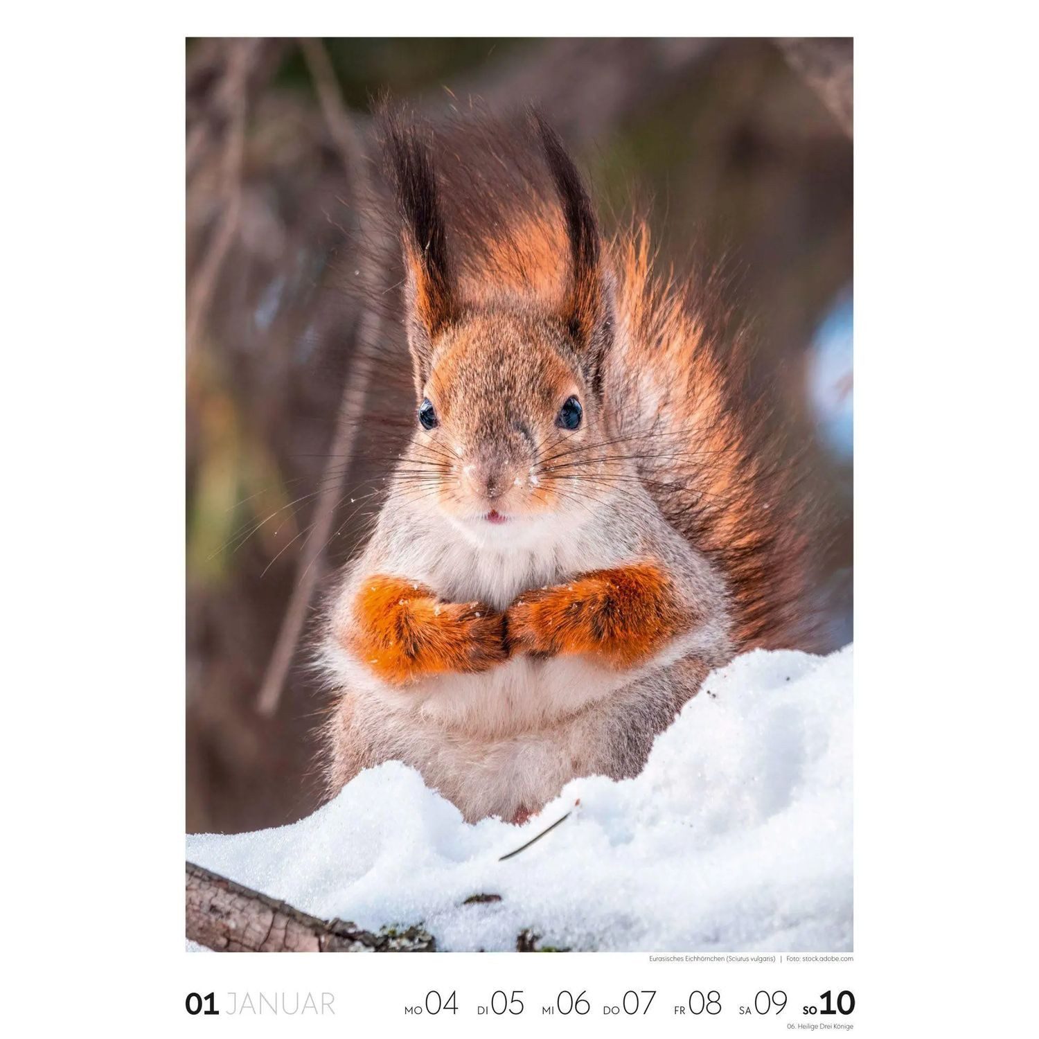Ackermann Wandkalender Natur Wochenkalender 2027