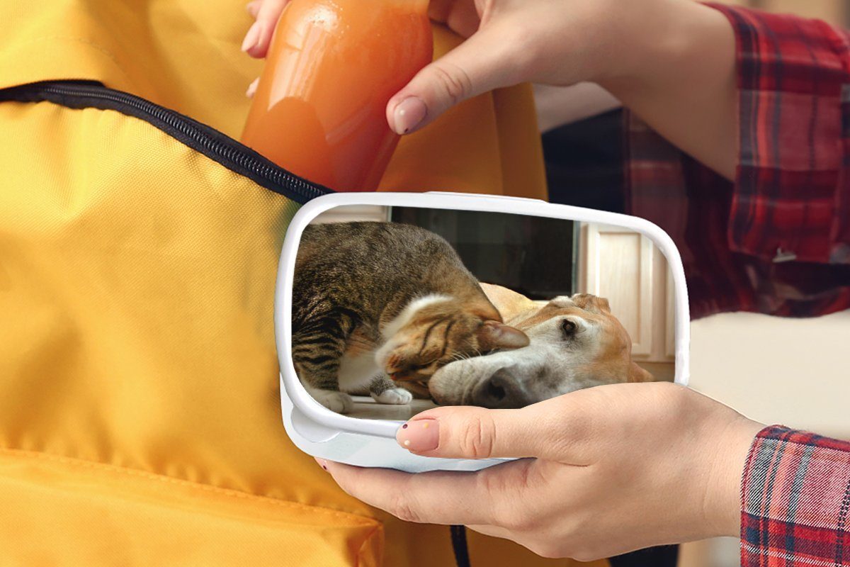 Tiere, - Lunchbox - und für MuchoWow Kunststoff, (2-tlg), Hund und Brotdose, Erwachsene, Kinder Brotbox Mädchen weiß für Jungs Katze