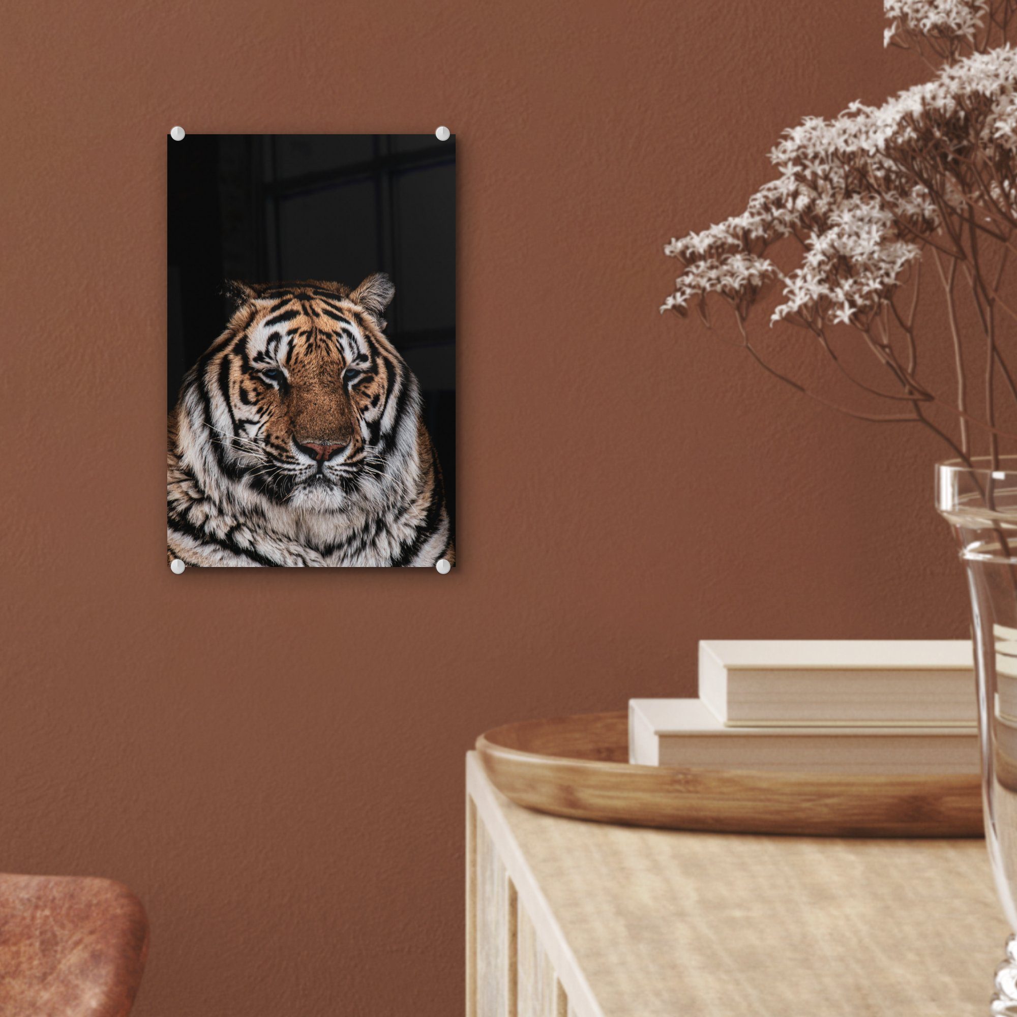 Glas MuchoWow Schwarz, auf bunt Faulenzer Acrylglasbild St), - - Wandbild Glasbilder - Glas - Bilder Foto Wanddekoration auf Tiger - (1