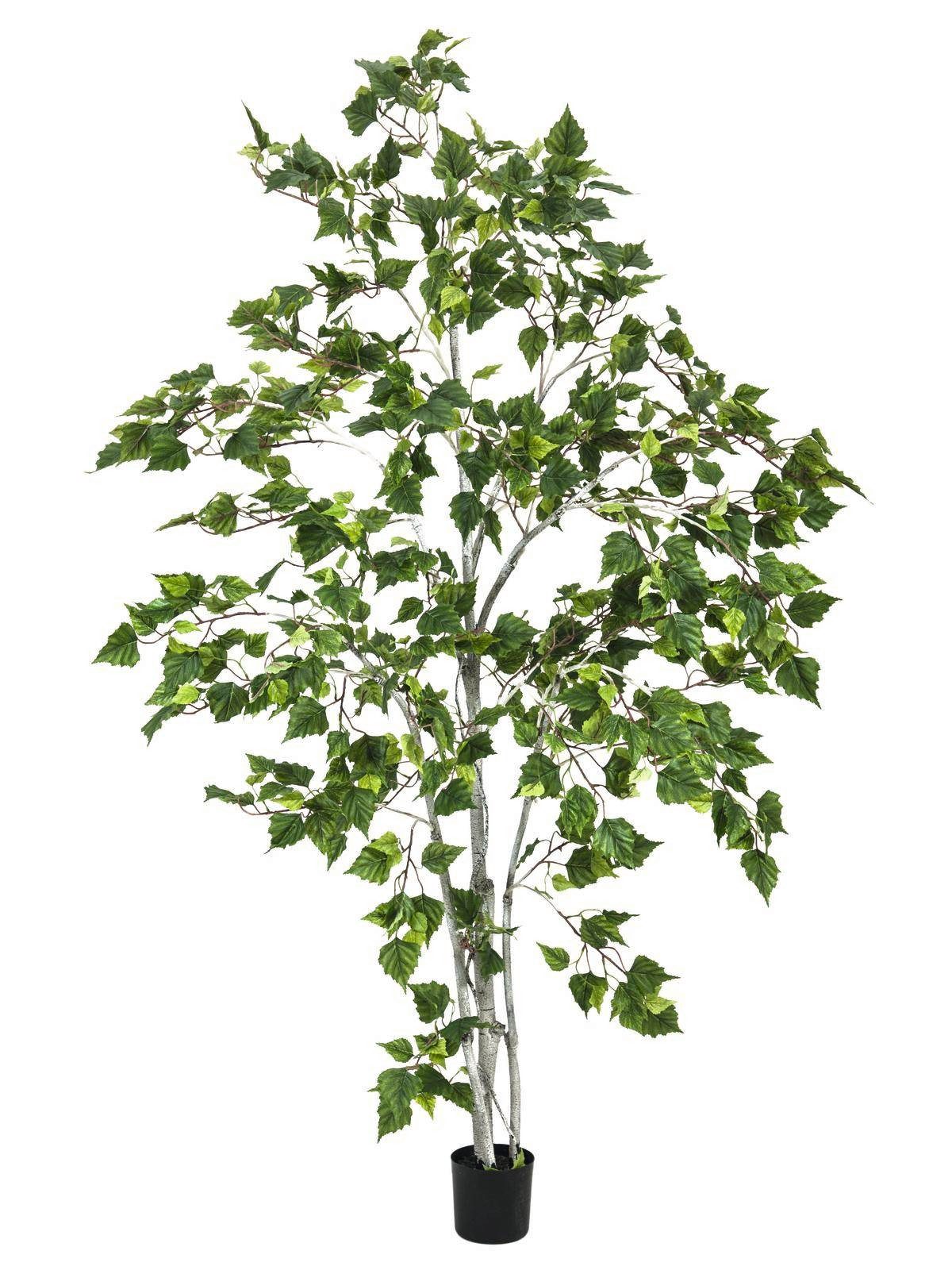 Kunstbaum Künstliche Weißbirke, 800 Blätter, getopft, 180cm - Kunstpflanze Birke (Weißbirke), artplants, Höhe 180.0 cm