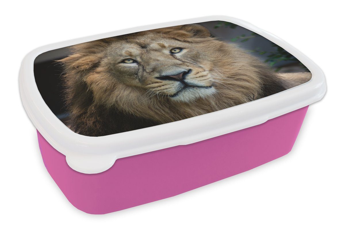 MuchoWow Lunchbox Löwen - Farbe - Porträt, Kunststoff, (2-tlg), Brotbox für Erwachsene, Brotdose Kinder, Snackbox, Mädchen, Kunststoff rosa