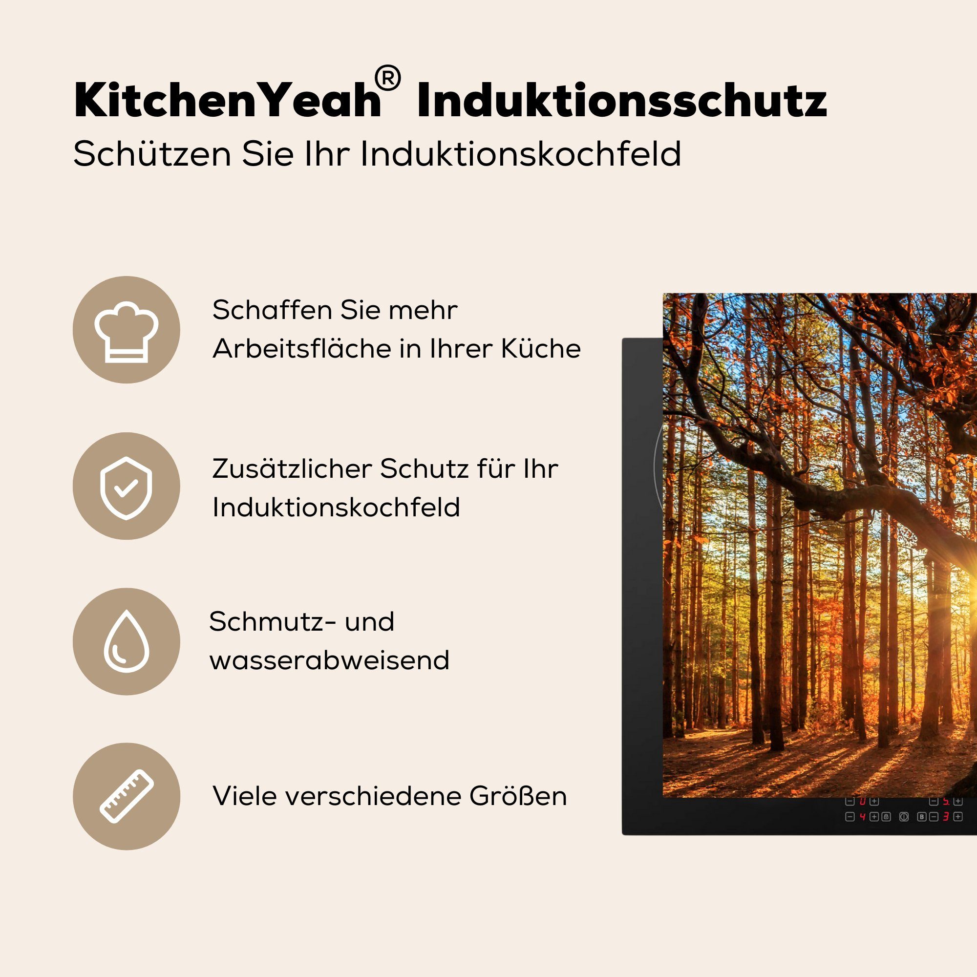 81x52 küche, Vinyl, Herdblende-/Abdeckplatte tlg), Herbst Schutz für die Baum, Sonne - Ceranfeldabdeckung (1 cm, MuchoWow - Induktionskochfeld
