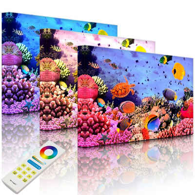 lightbox-multicolor LED-Bild »Bunte Fische über Korallenriff«