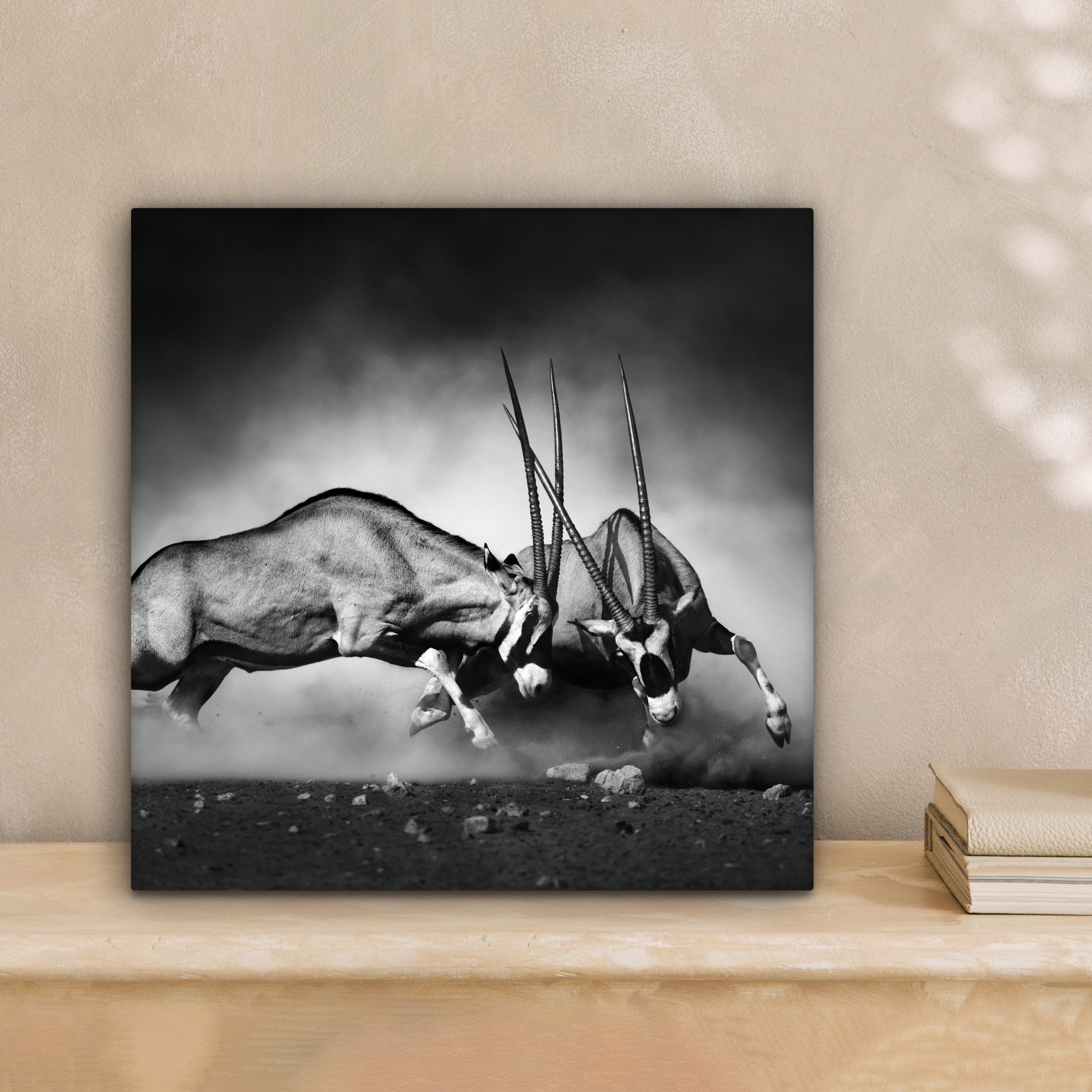OneMillionCanvasses® Leinwandbild Antilope - Schwarz und günstig online kaufen