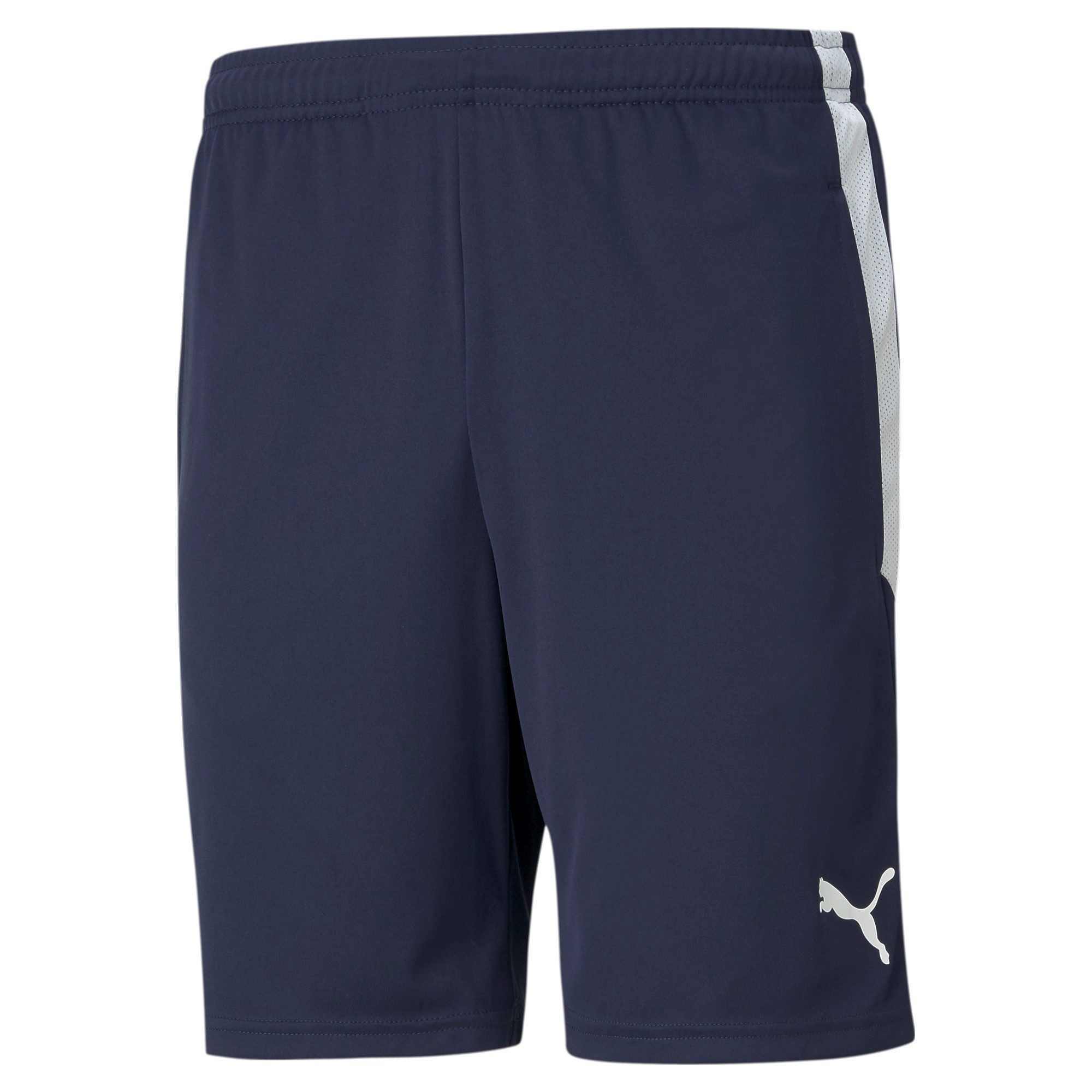 Trainingsshorts Puma Herren Short teamLIGA Training Shorts 657249