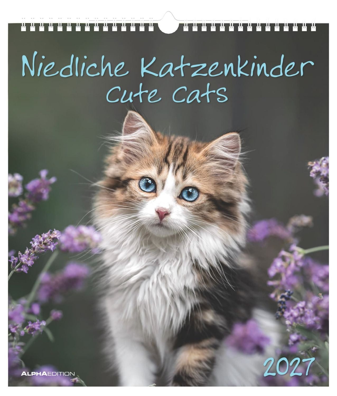 Wandkalender Niedliche Katzenkinder 2027