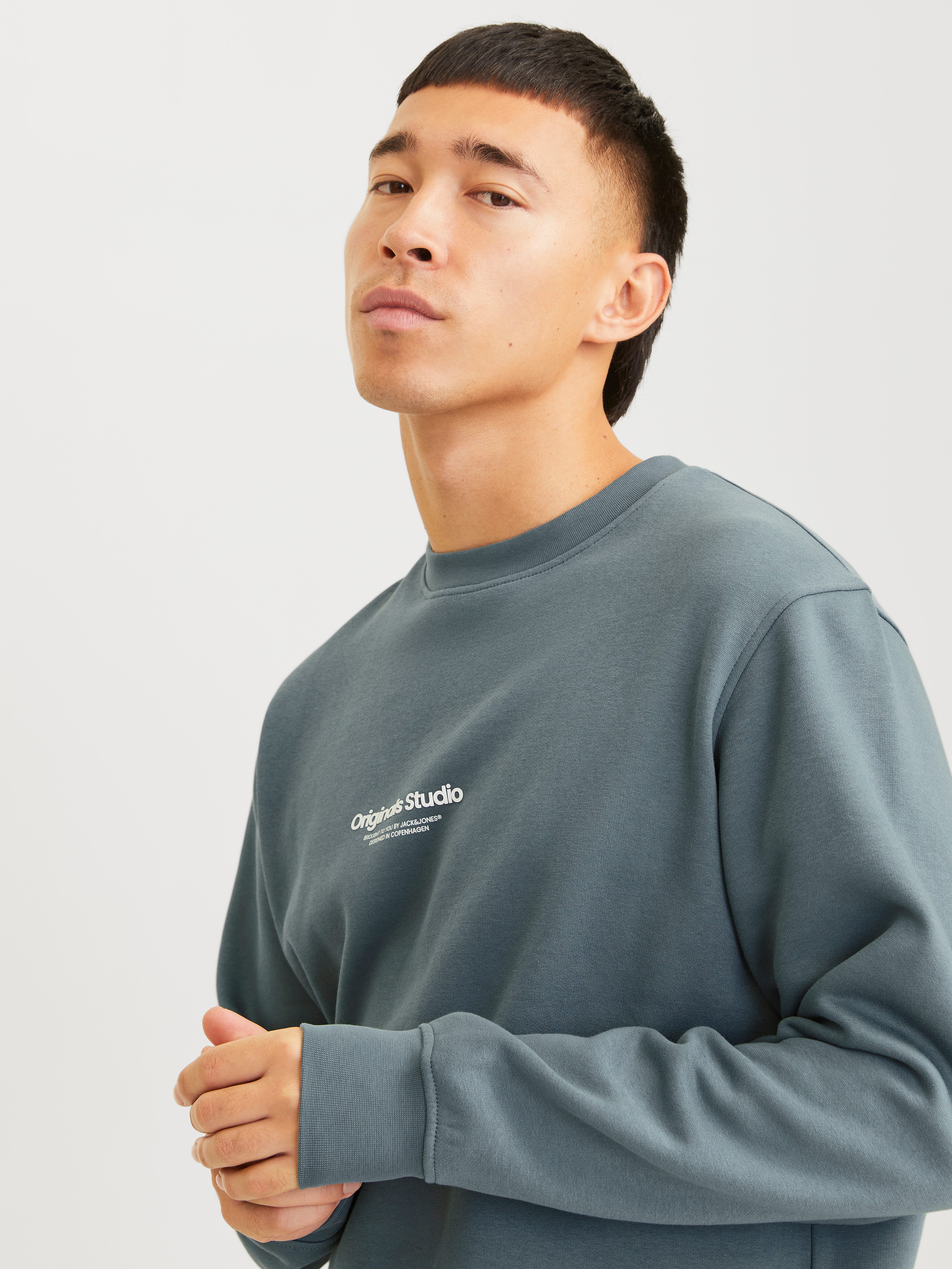Jack & Jones Sweatshirt JORVESTERBRO SWEAT günstig online kaufen