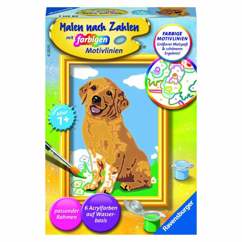 Ravensburger Malen nach Zahlen Kleiner Golden Retriever