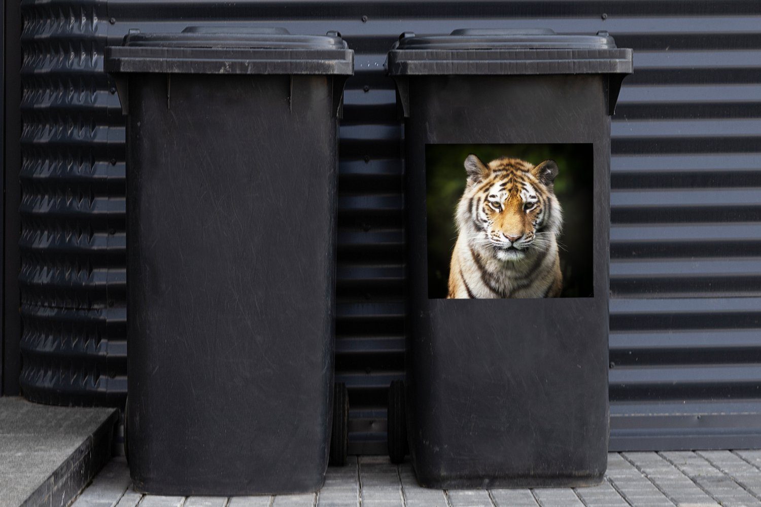 - Mülleimer-aufkleber, (1 Tiere Natur Tiger Container, St), MuchoWow - Mülltonne, Wandsticker Abfalbehälter Sticker,