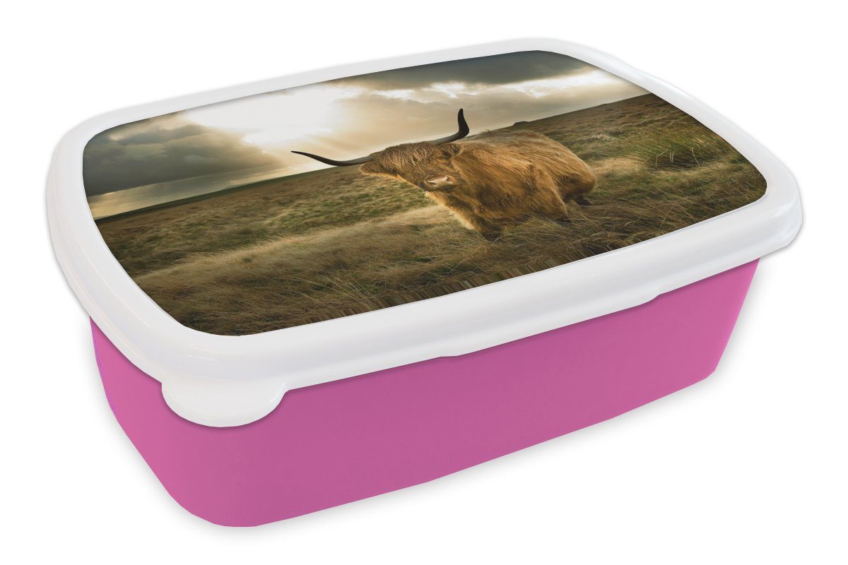 MuchoWow Lunchbox Schottischer Hochländer - Sonne - Gras, Kunststoff, (2-tlg), Brotbox für Erwachsene, Brotdose Kinder, Snackbox, Mädchen, Kunststoff rosa