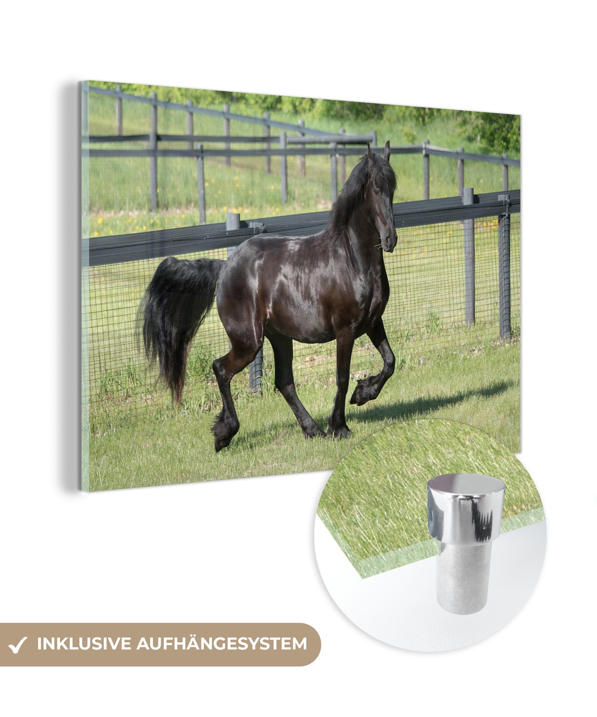 MuchoWow Acrylglasbild Friesisches Pferd im Galopp, (1 St), Acrylglasbilder Wohnzimmer & Schlafzimmer