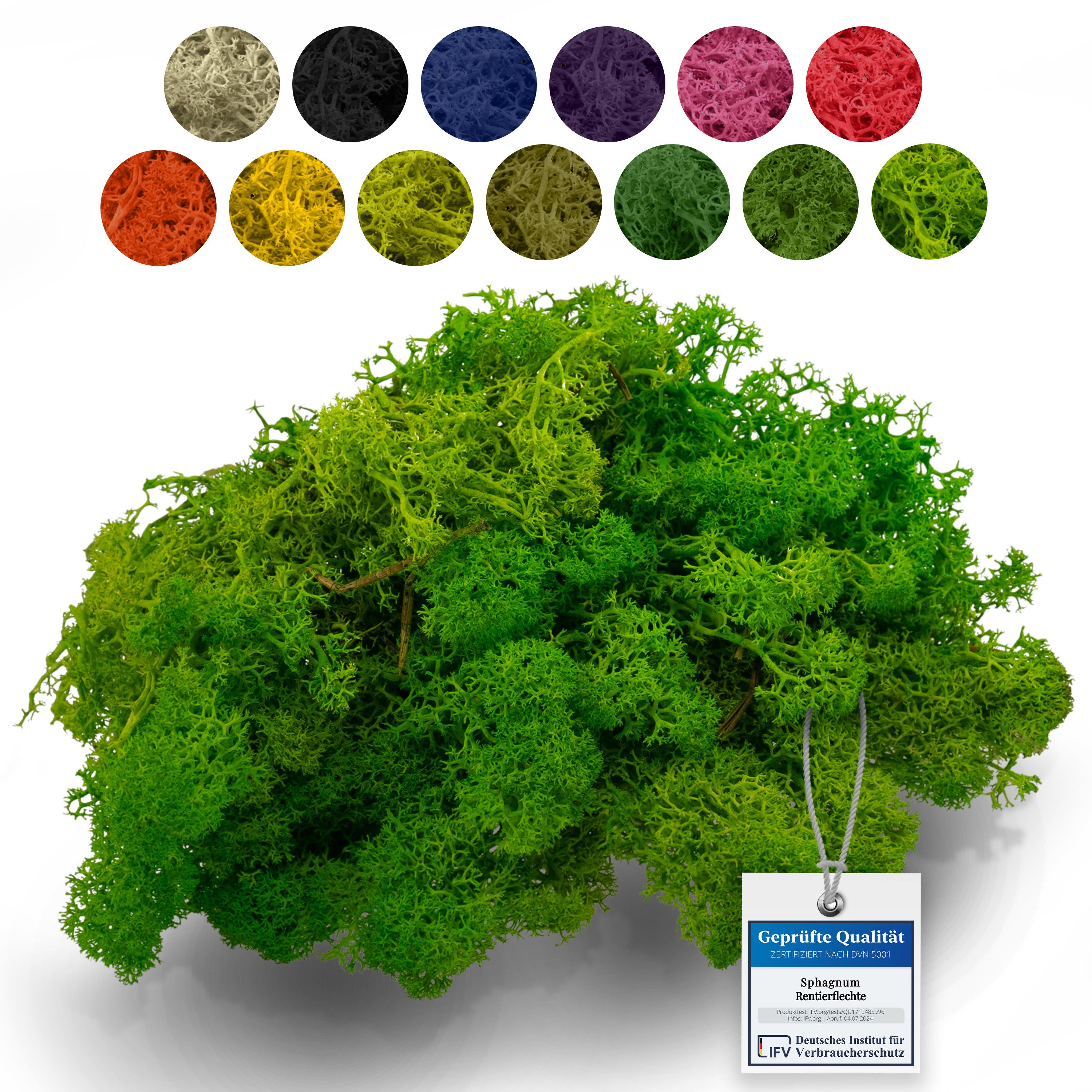 sphagnum-shop.com Bastelnaturmaterial Islandmoos Rentierflechte 500g, Echtes Moos zum Basteln & Dekorieren, Farbecht, Formstabil, Pflegefrei