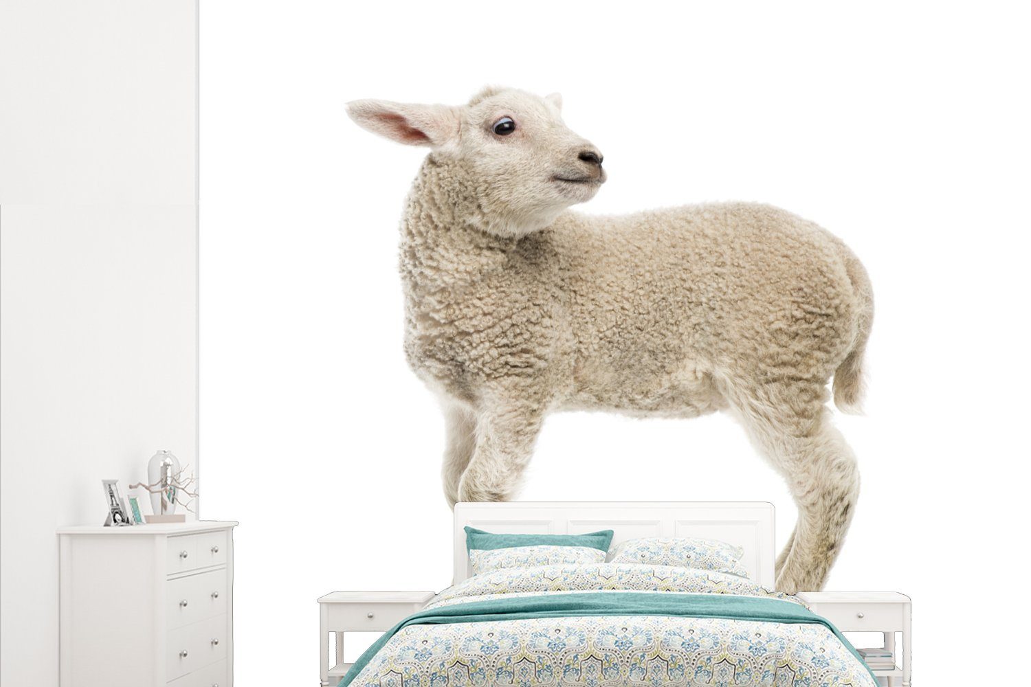 Wohnzimmer Schaf für Fototapete - bedruckt, Küche, Schlafzimmer - (5 Wolle MuchoWow Vliestapete St), Fototapete Matt, Lamm,