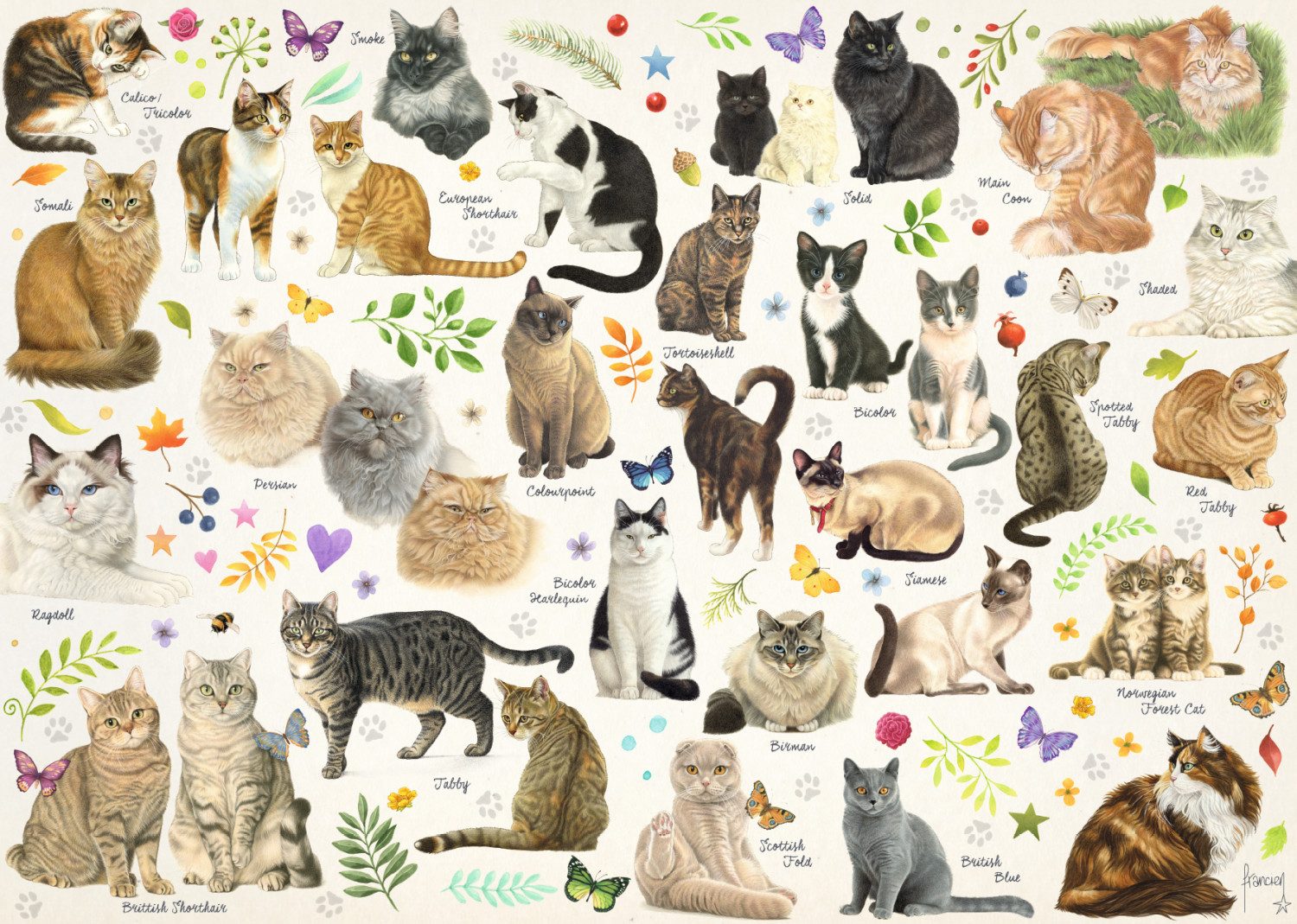 Jumbo Spiele Puzzle Jumbo 18595 Katzenposter 1000 Teile Puzzle, 1000 Puzzleteile, Made in Europe