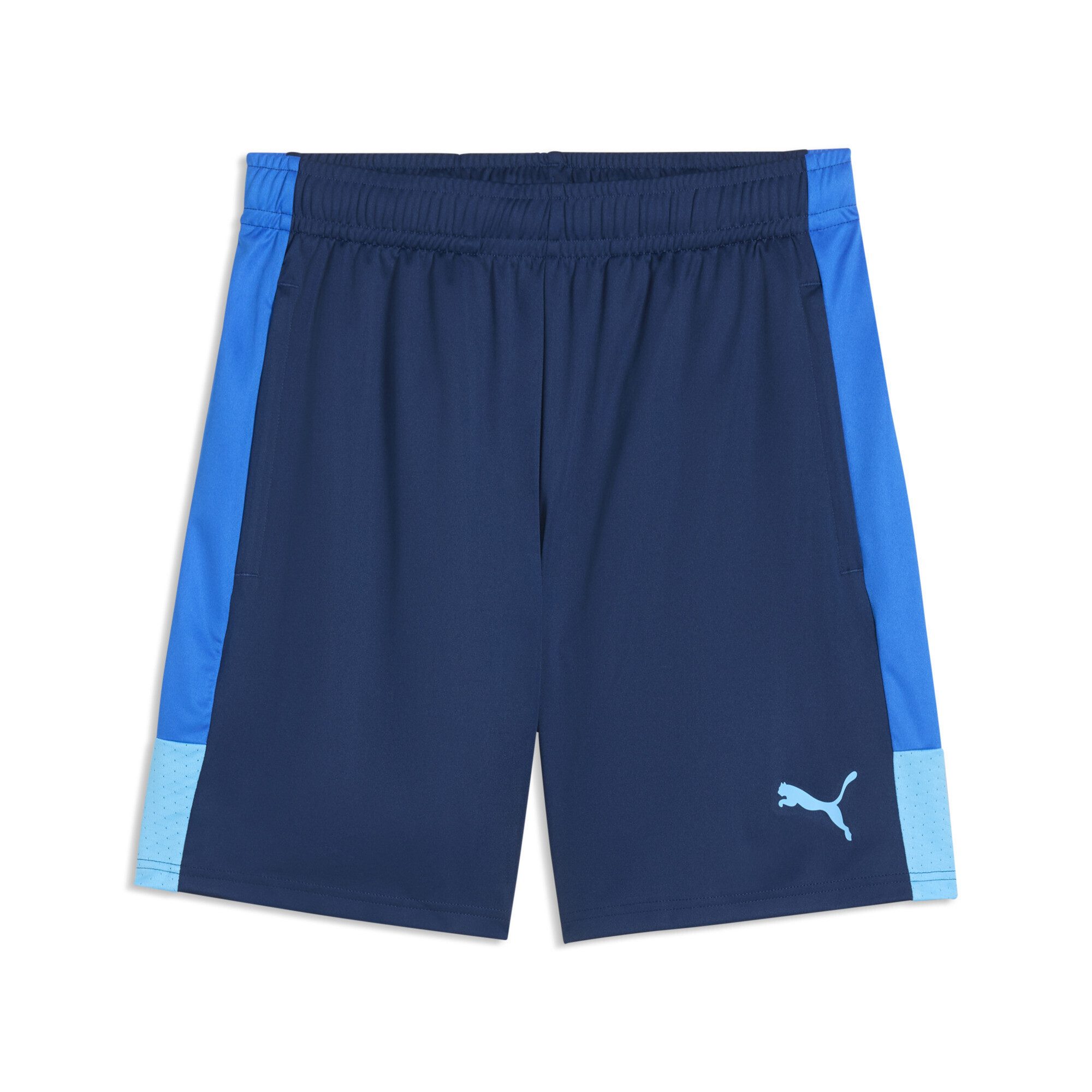 PUMA Sporthose IndividualLIGA Trainingsshorts Herren