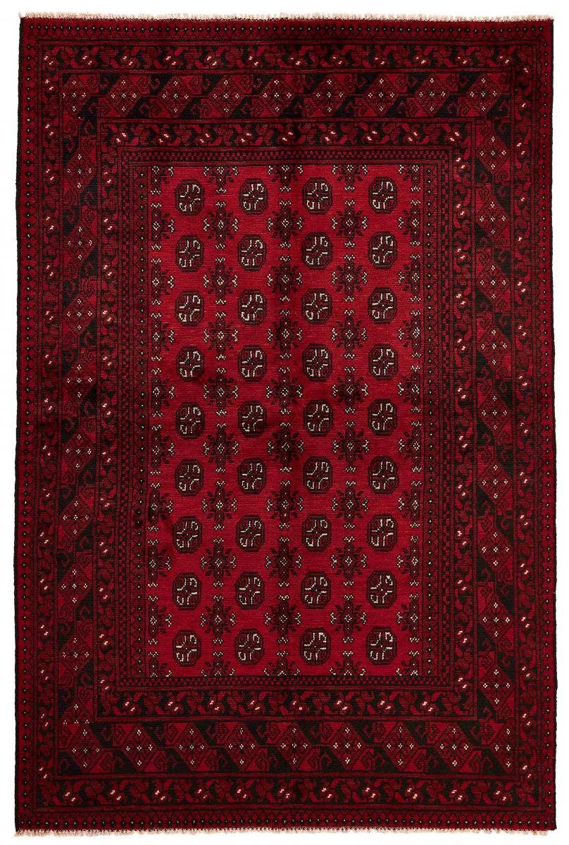 Orientteppich Afghan Akhche 160x241 Handgeknüpfter Orientteppich, Nain Trading, rechteckig, Höhe: 6 mm
