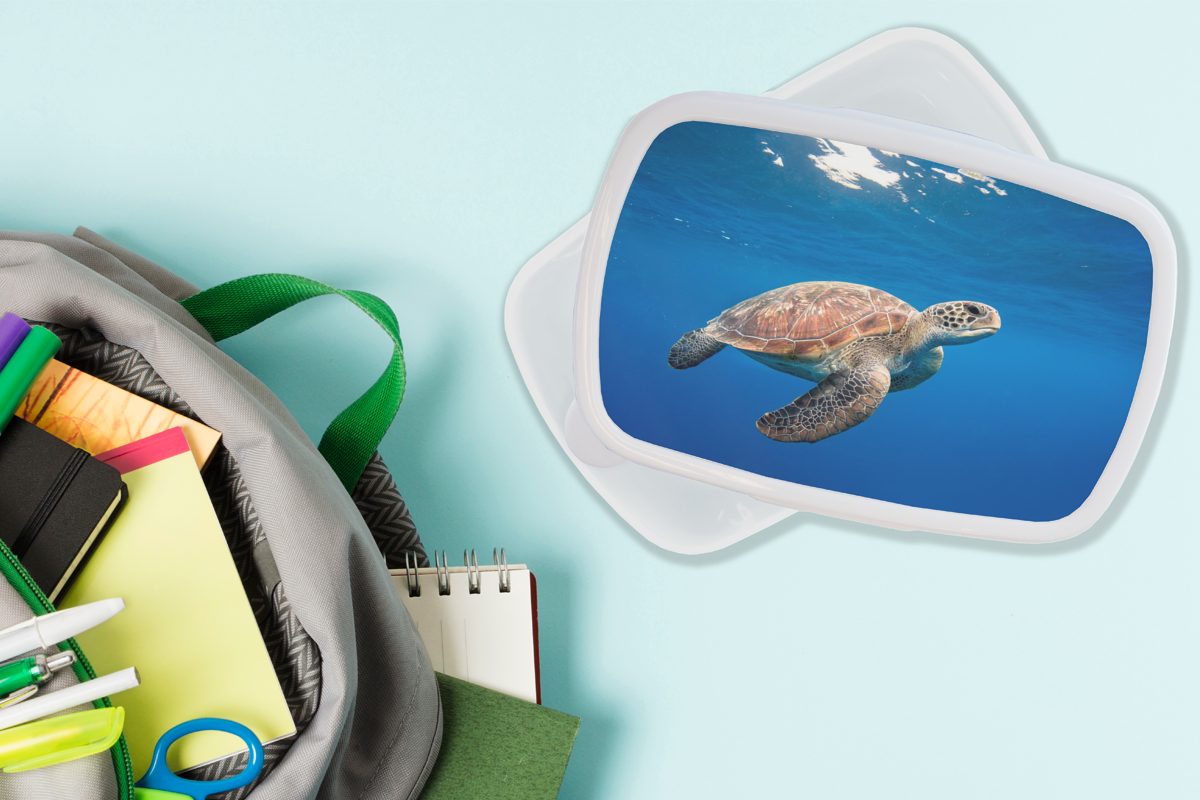 MuchoWow Lunchbox Schildkröte im Brotbox Ozean, Brotdose, Jungs Mädchen (2-tlg), Kunststoff, für Kinder Erwachsene, und weiß und für