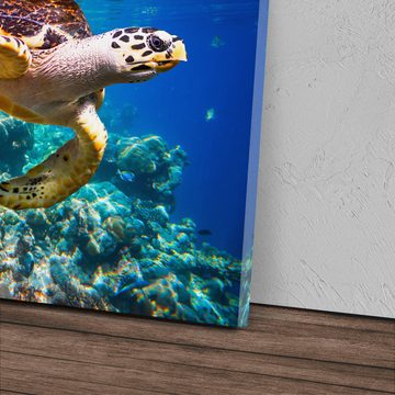 Sinus Art Leinwandbild 120x80cm Wandbild auf Leinwand Wasserschildkröte Korallen Korallenriff, (1 St)