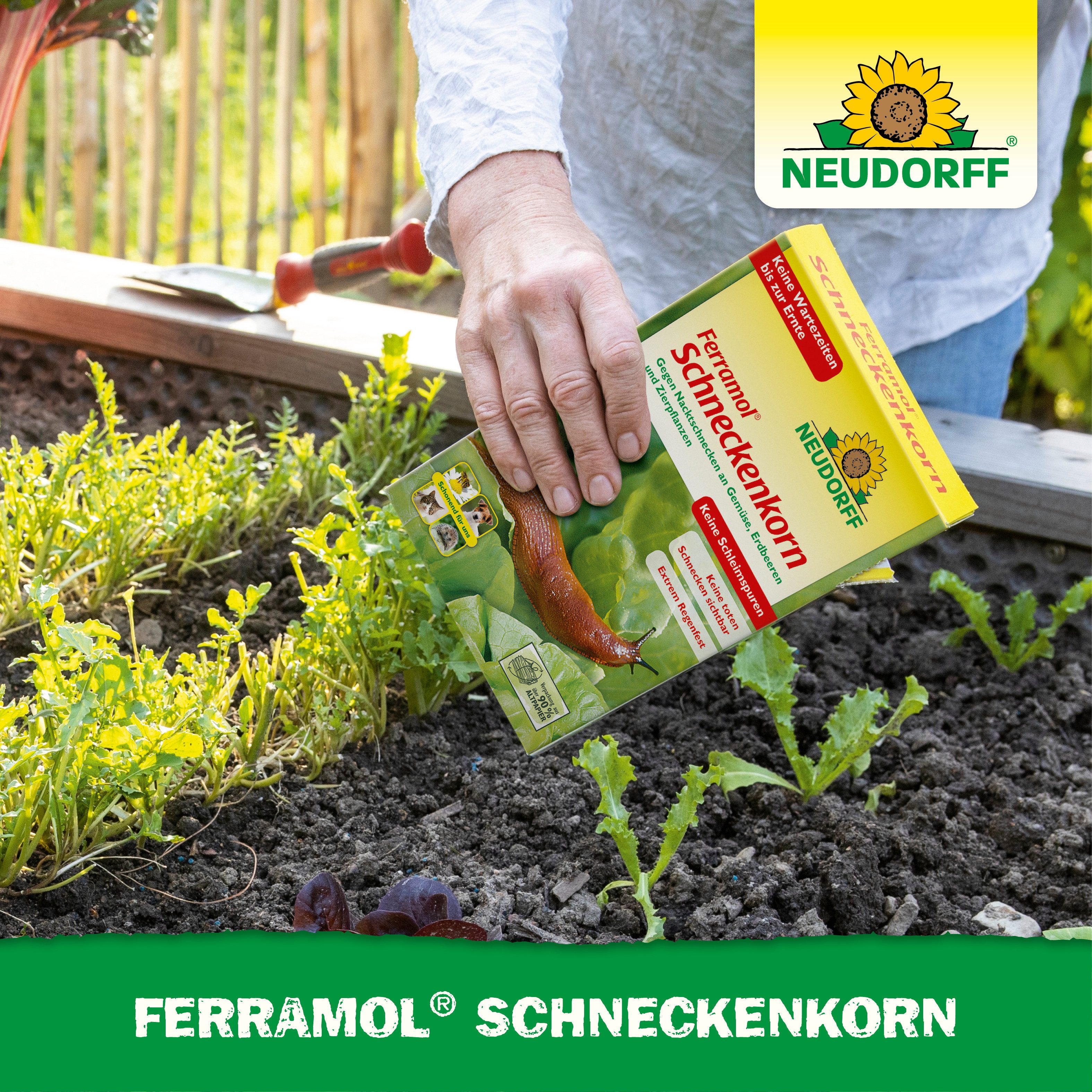 Neudorff Pflanzenstärkungsmittel Ferramol Schneckenkorn regenfest 0,5 kg, Für Gemüse, Obst & Zierpflanzen im Freiland und Gewächshaus, Regenfester Fertigköder g – Bild 5 von 5