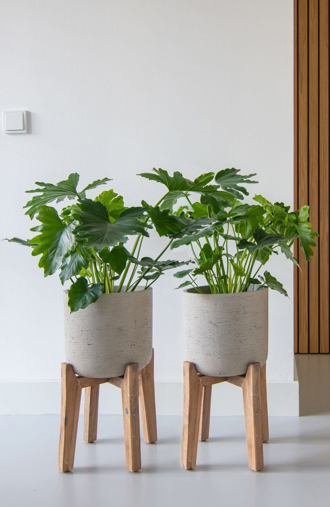 finestgreen Pflanzkübel Charlie Feet High günstig online kaufen