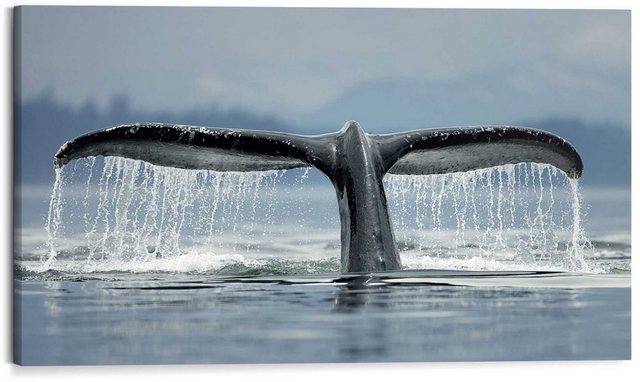 Reinders! Wandbild »Wandbild Walfisch Schweif Säugetier - Ozean - Kräftig - Mer«, Tiere (1 Stück)-Otto