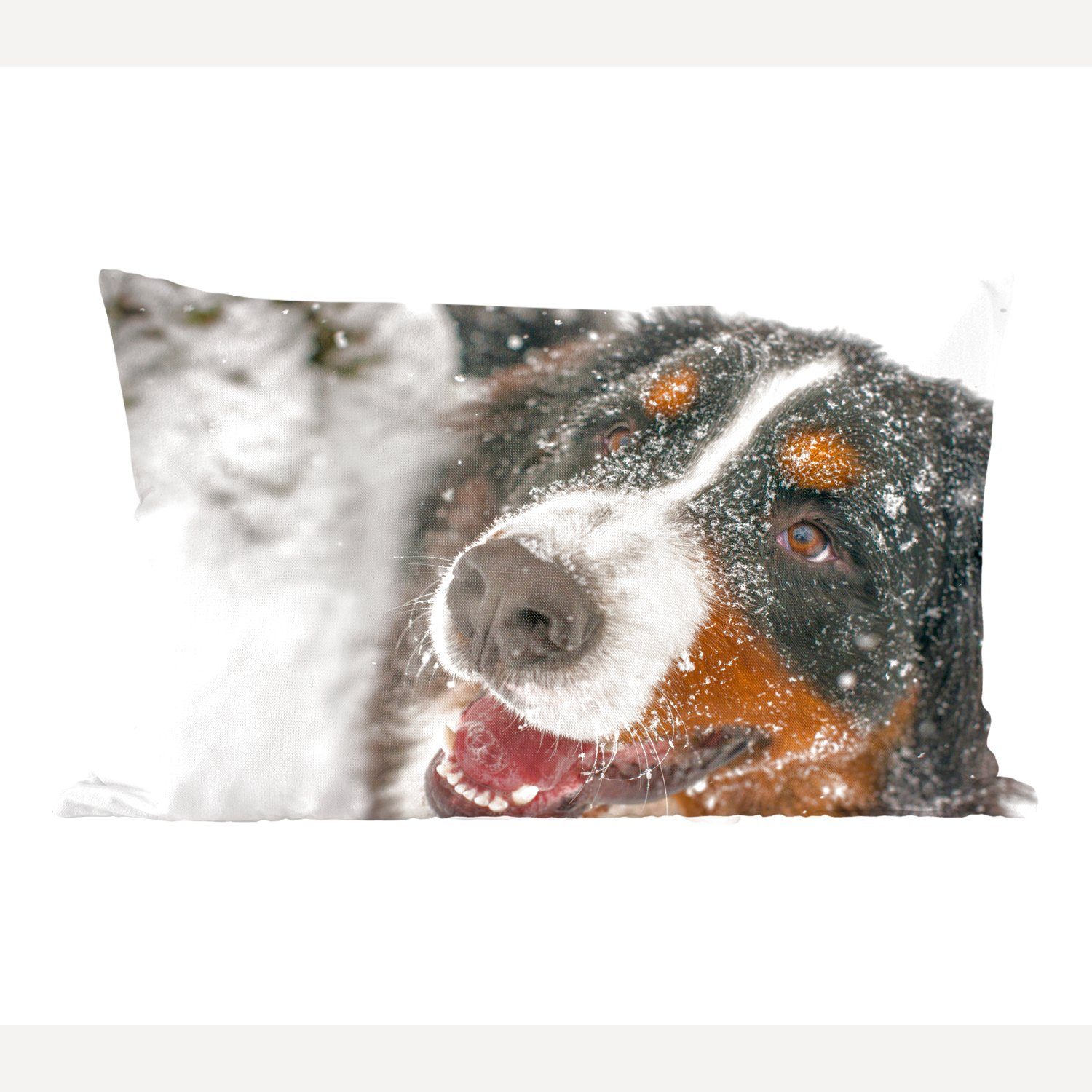 Sennenhund Füllung, mit Wohzimmer Ein Dekokissen Zierkissen, Dekoration, Schnee, dem MuchoWow Dekokissen unter Berner Schlafzimmer