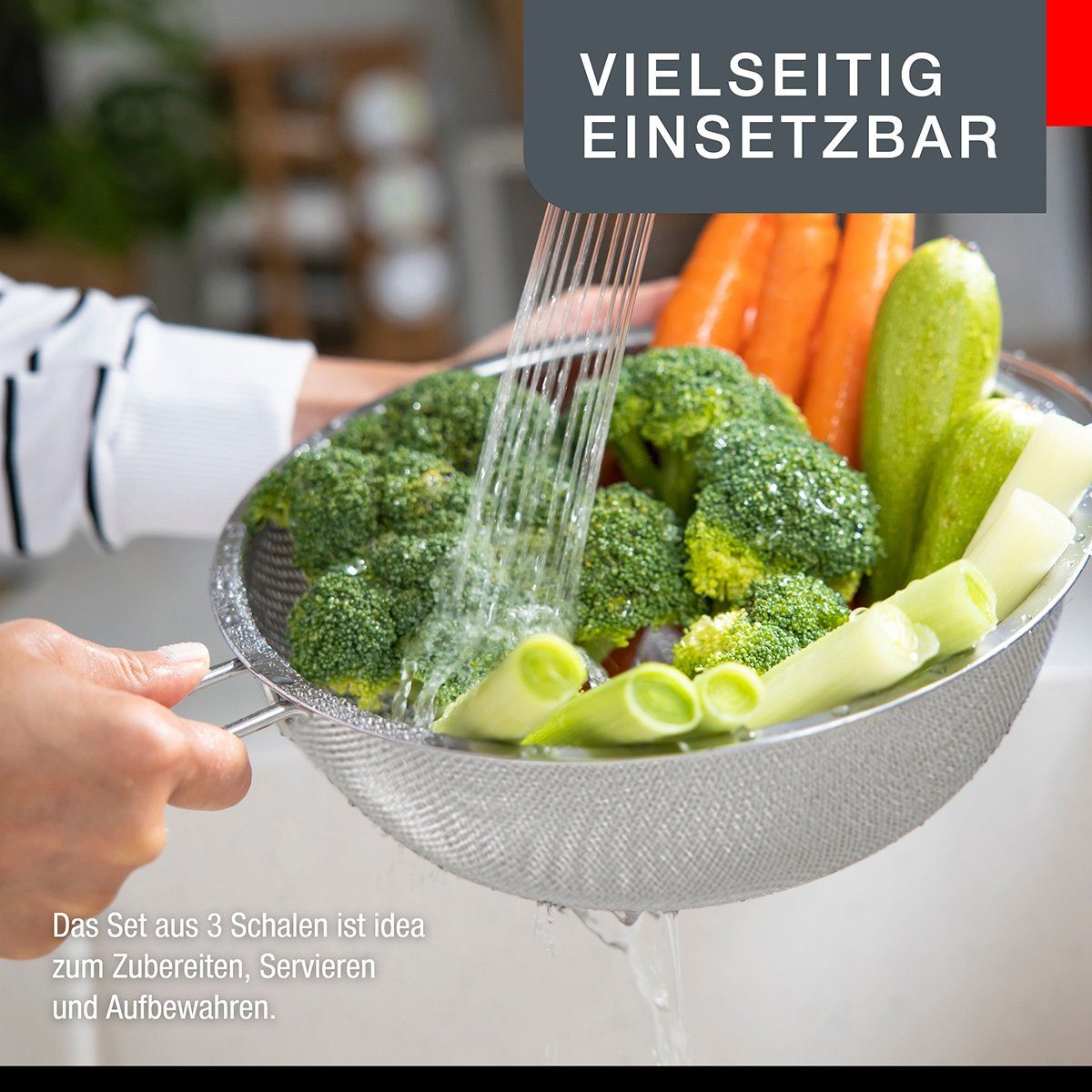 GEFU Küchensieb Abtropfsieb PASSO 23 Cm Küchensieb Edelstahl Sieb
