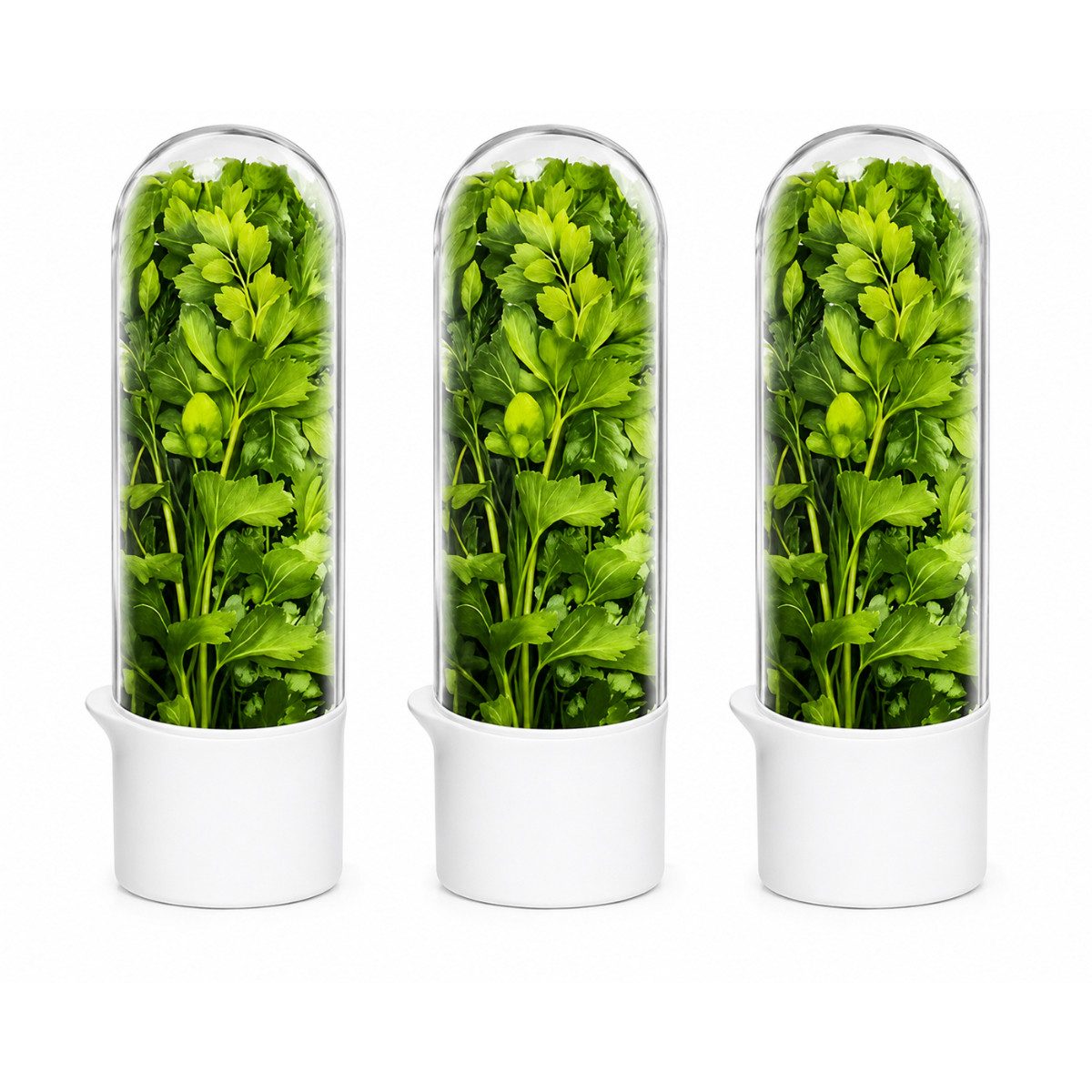 R2 Invest Frischhaltedose Kräuterbehälter für Kühlschrank 3er Set, (3-tlg)
