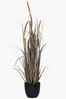 Kunstpflanze Schilfgras im Topf Gras künstlich Kunstpflanze POMPIDU, VIVANNO, Höhe 105 cm