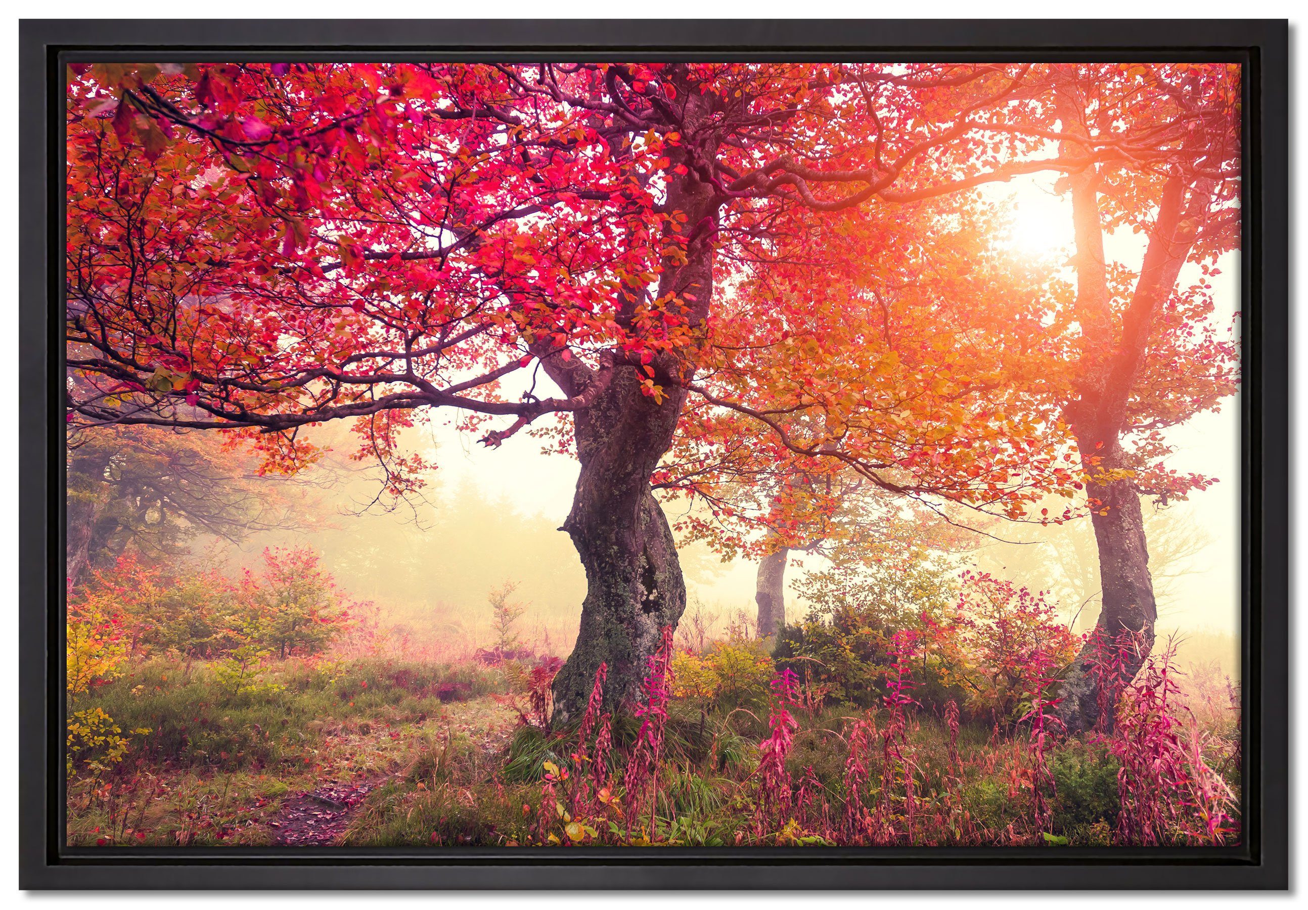 (1 Schattenfugen-Bilderrahmen Leinwandbild Herbstlandschaft, in Leinwandbild Wanddekoration St), bespannt, gefasst, inkl. einem fertig Zackenaufhänger Pixxprint Traumhafte