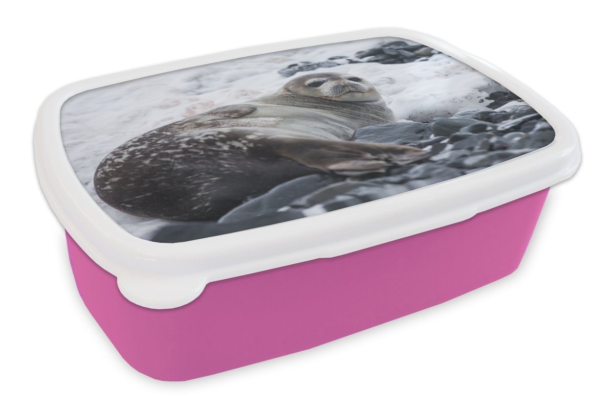 MuchoWow Lunchbox Robbe - Schnee - Strand, Kunststoff, (2-tlg), Brotbox für Erwachsene, Brotdose Kinder, Snackbox, Mädchen, Kunststoff rosa