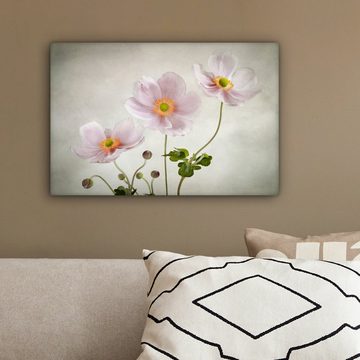 OneMillionCanvasses® Leinwandbild Blumen - Stillleben - Ölfarbe - Mohn - Rosa, (1 St), Wandbild Leinwandbilder, Aufhängefertig, Wanddeko, 30x20 cm