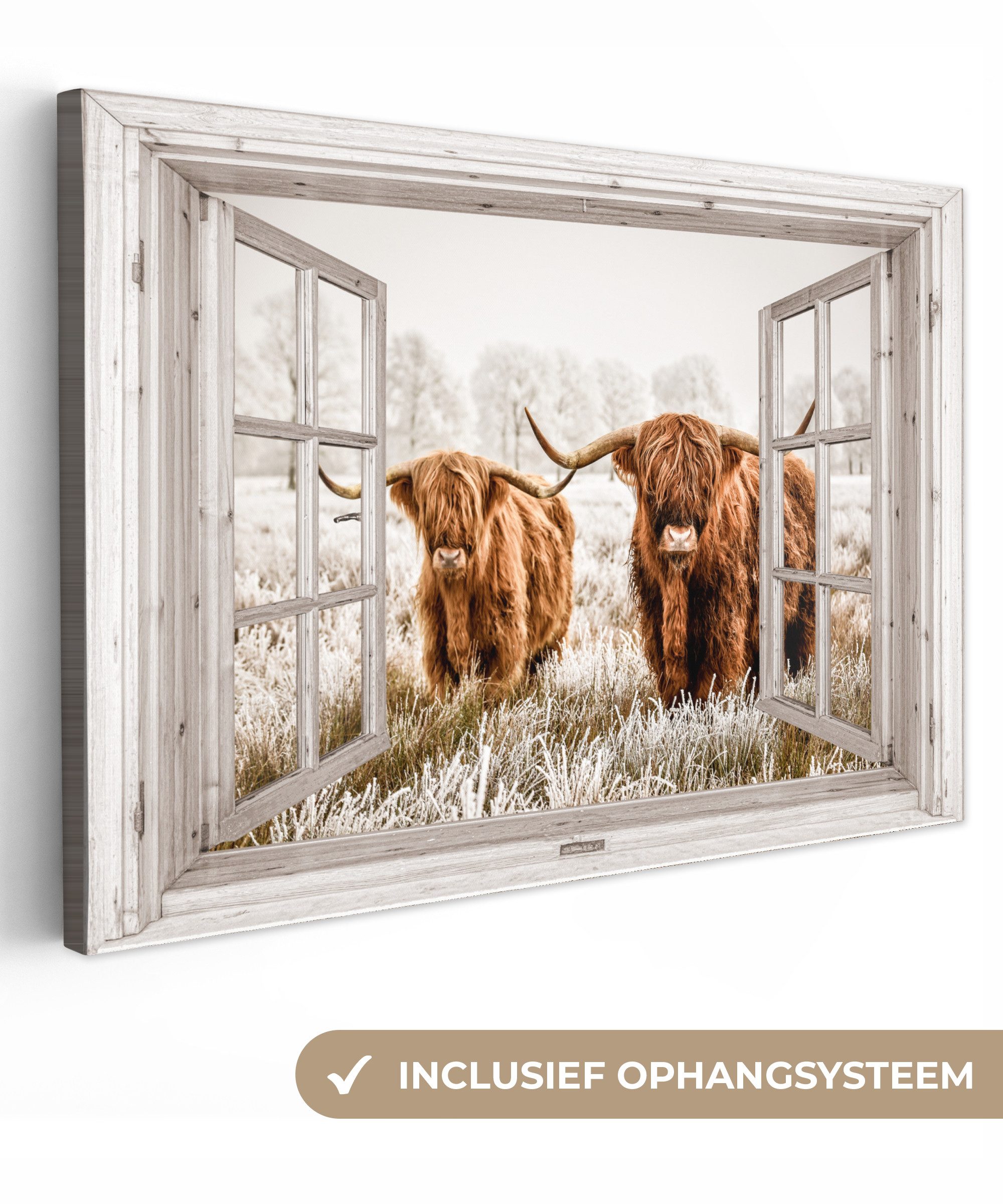 OneMillionCanvasses® Leinwandbild Durchblick - Schottische Highlander - Tiere, Fotodruck (1 St), Leinwand Bilder Klein, Wand Dekoration Aesthetic 30x20 cm
