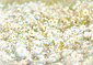 Komar Fototapete »Daisies«, glatt, bedruckt, Meer, Wald, (Set), ausgezeichnet lichtbeständig, Bild 1