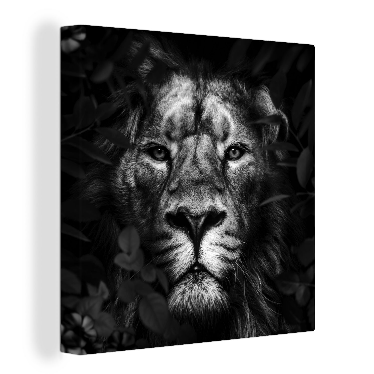 OneMillionCanvasses® Leinwandbild Löwe - Tiere - Dschungel - Schwarz - Weiß, (1 St), Leinwand Bilder für Wohnzimmer Schlafzimmer