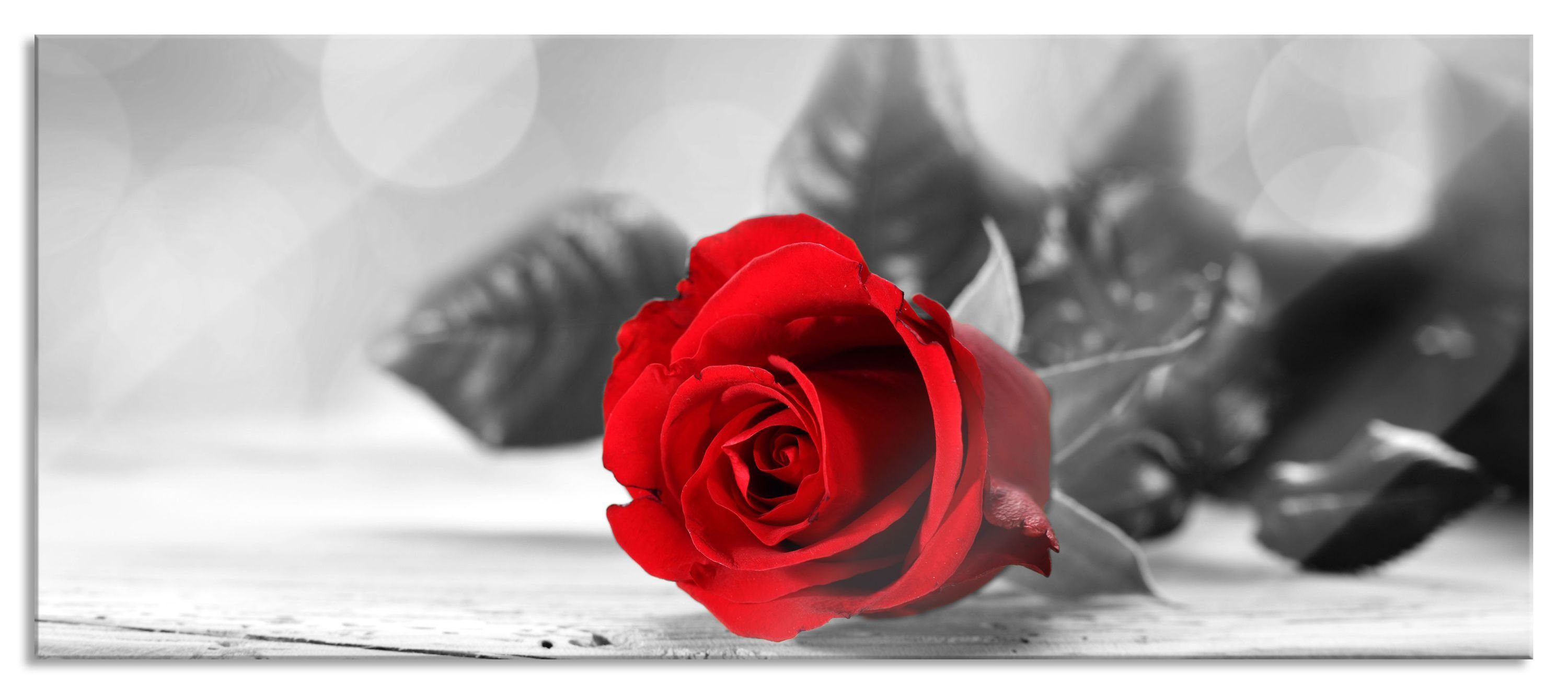 Glasbild Rose auf Holztisch