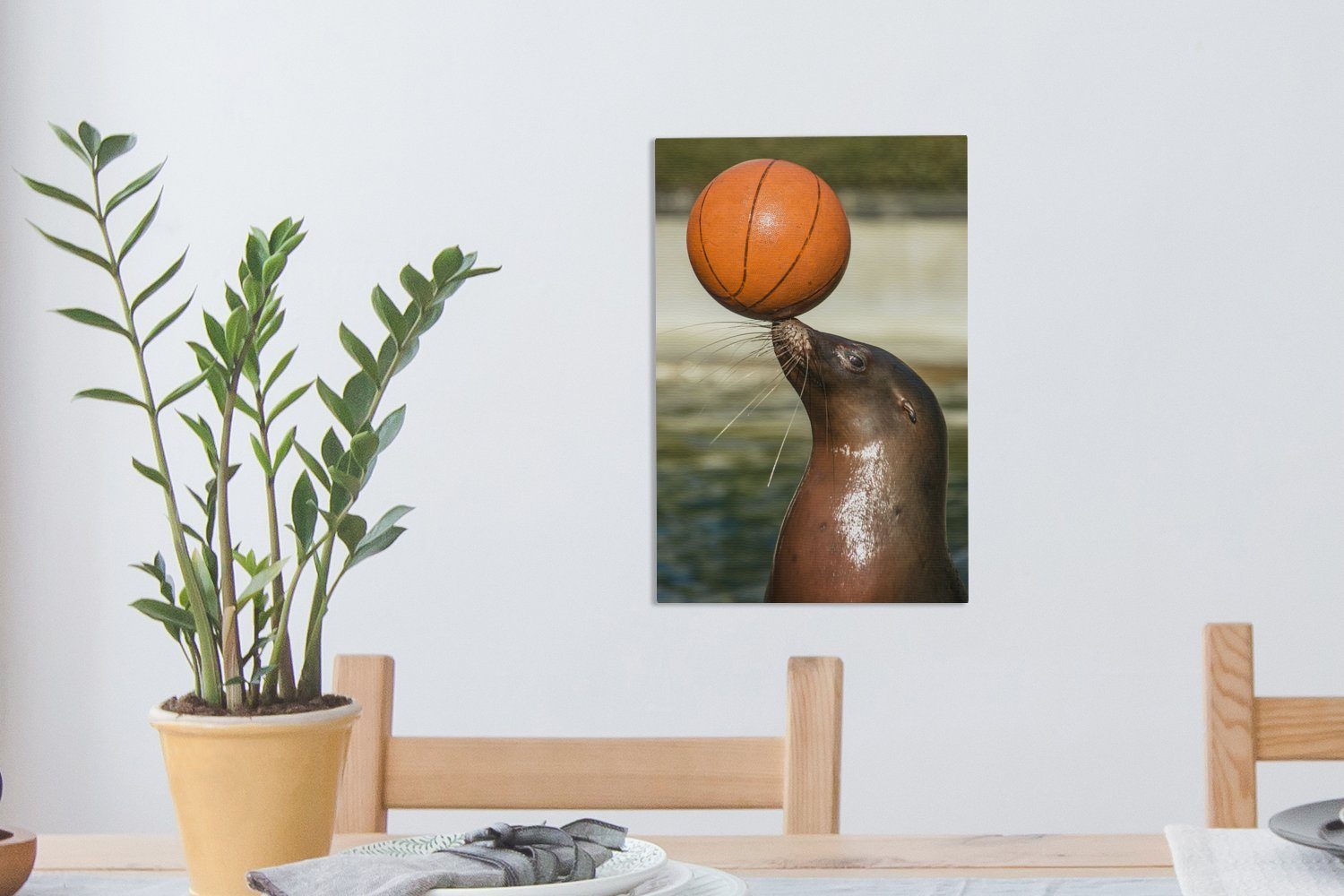 Schnauze, auf St), der mit 20x30 OneMillionCanvasses® inkl. Leinwandbild Gemälde, Basketball Zackenaufhänger, Leinwandbild bespannt cm fertig Seelöwe (1