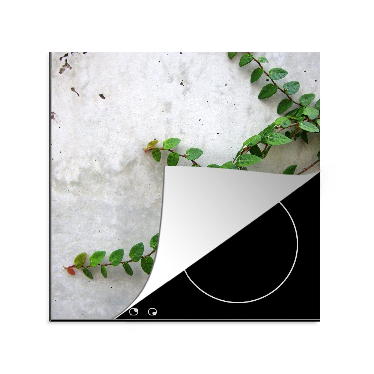MuchoWow Herdblende-/Abdeckplatte Kletterpflanzen an einer Betonwand, Vinyl, (1 tlg), 78x78 cm, Ceranfeldabdeckung, Arbeitsplatte für küche