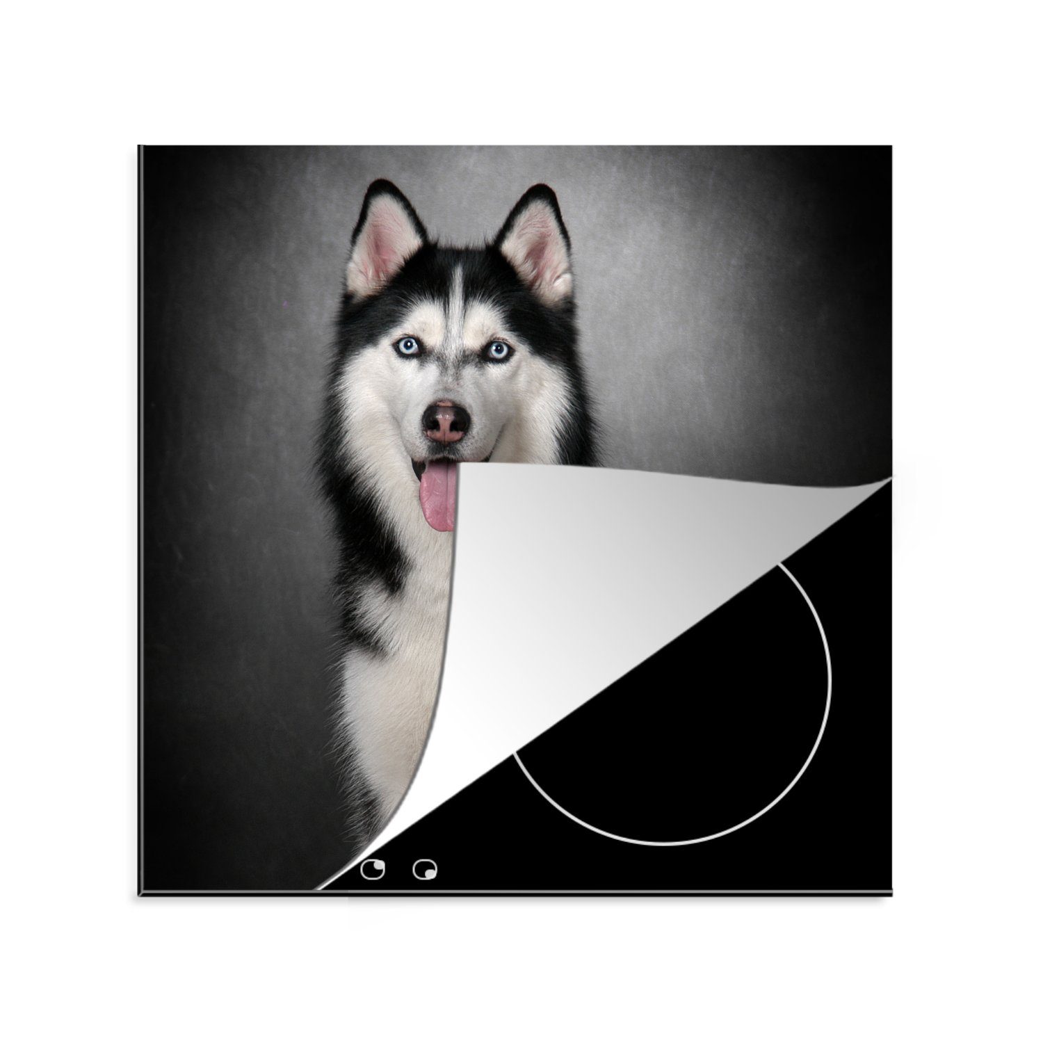 MuchoWow Herdblende-/Abdeckplatte Sibirischer Husky, Vinyl, (1 tlg), 78x78 cm, Ceranfeldabdeckung, Arbeitsplatte für küche