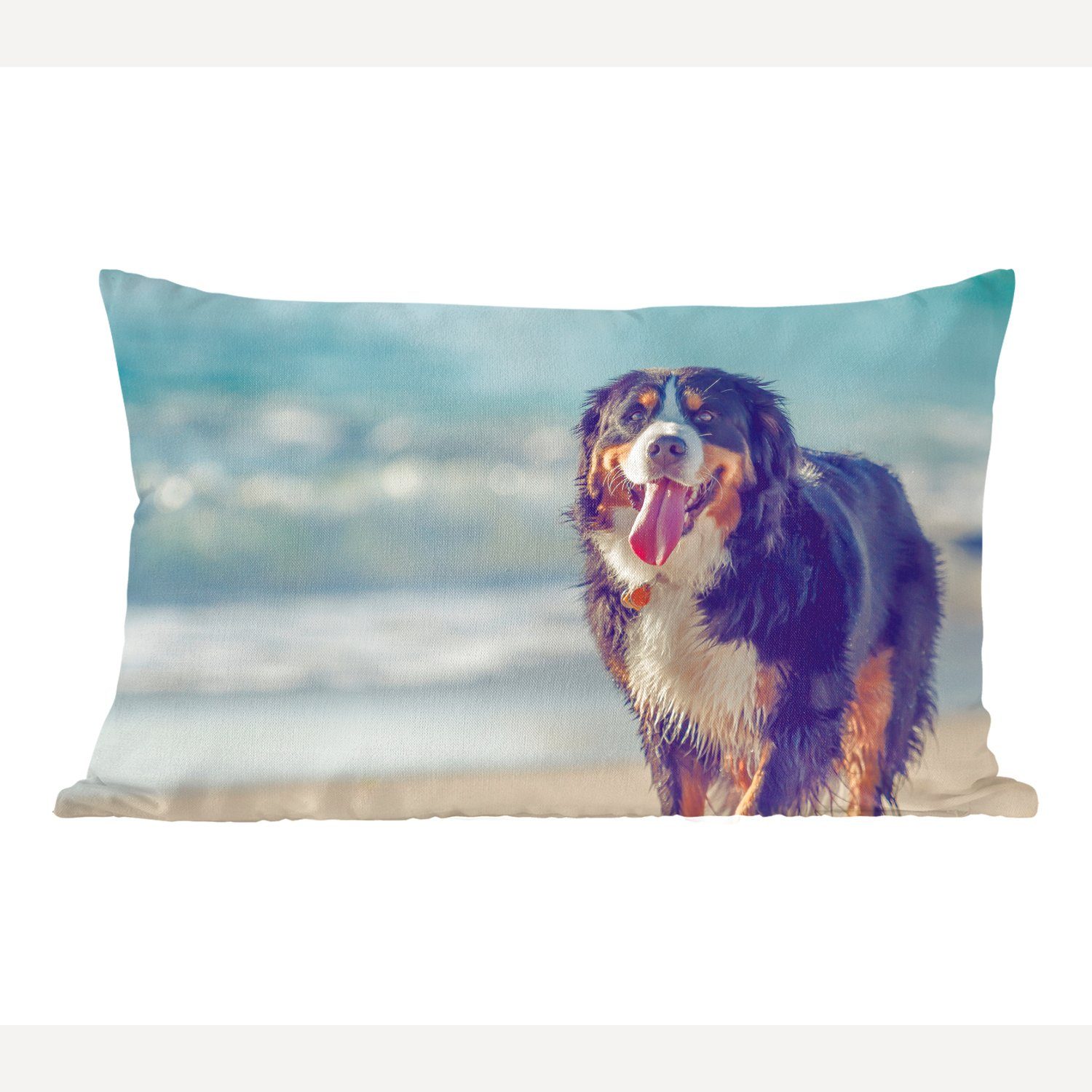 MuchoWow Dekokissen Ein Berner Sennenhund beim Spaziergang am Strand, Wohzimmer Dekoration, Zierkissen, Dekokissen mit Füllung, Schlafzimmer | Dekokissen
