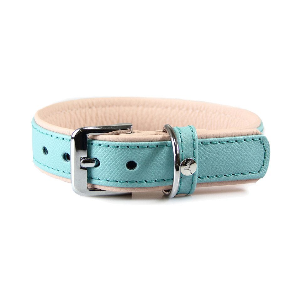 Das Lederband Hunde-Halsband Hundehalsband Firenze electric blue/creme