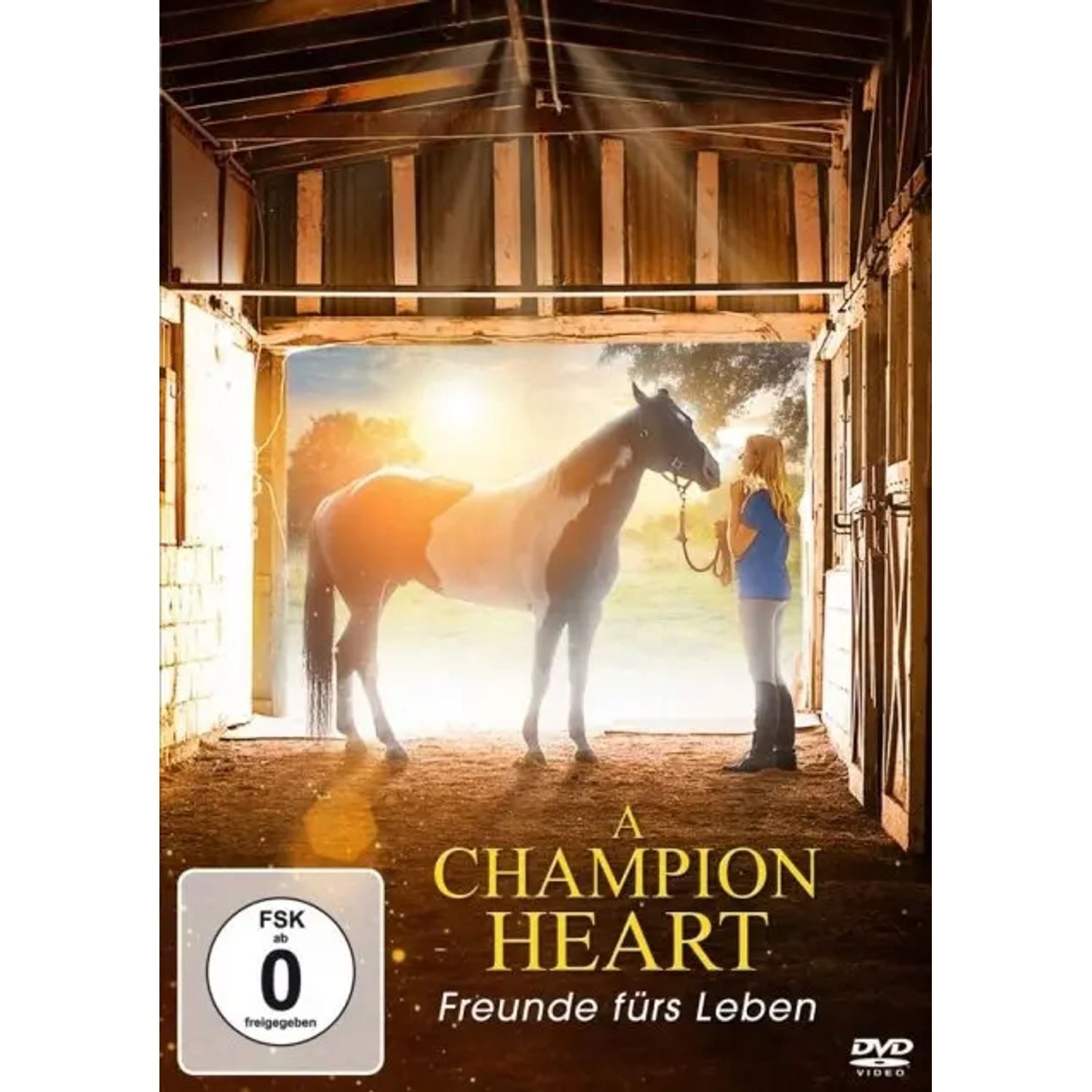 Lighthouse Interactive DVD A Champion Heart - Freunde fürs Leben