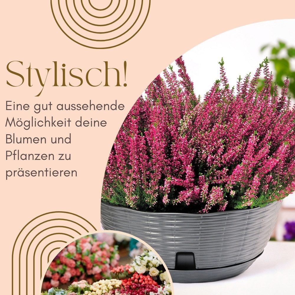 GarPet Pflanzschale 2er Set Pflanzschale Blumenschale Bonsai Grabschale Anthrazit 40cm