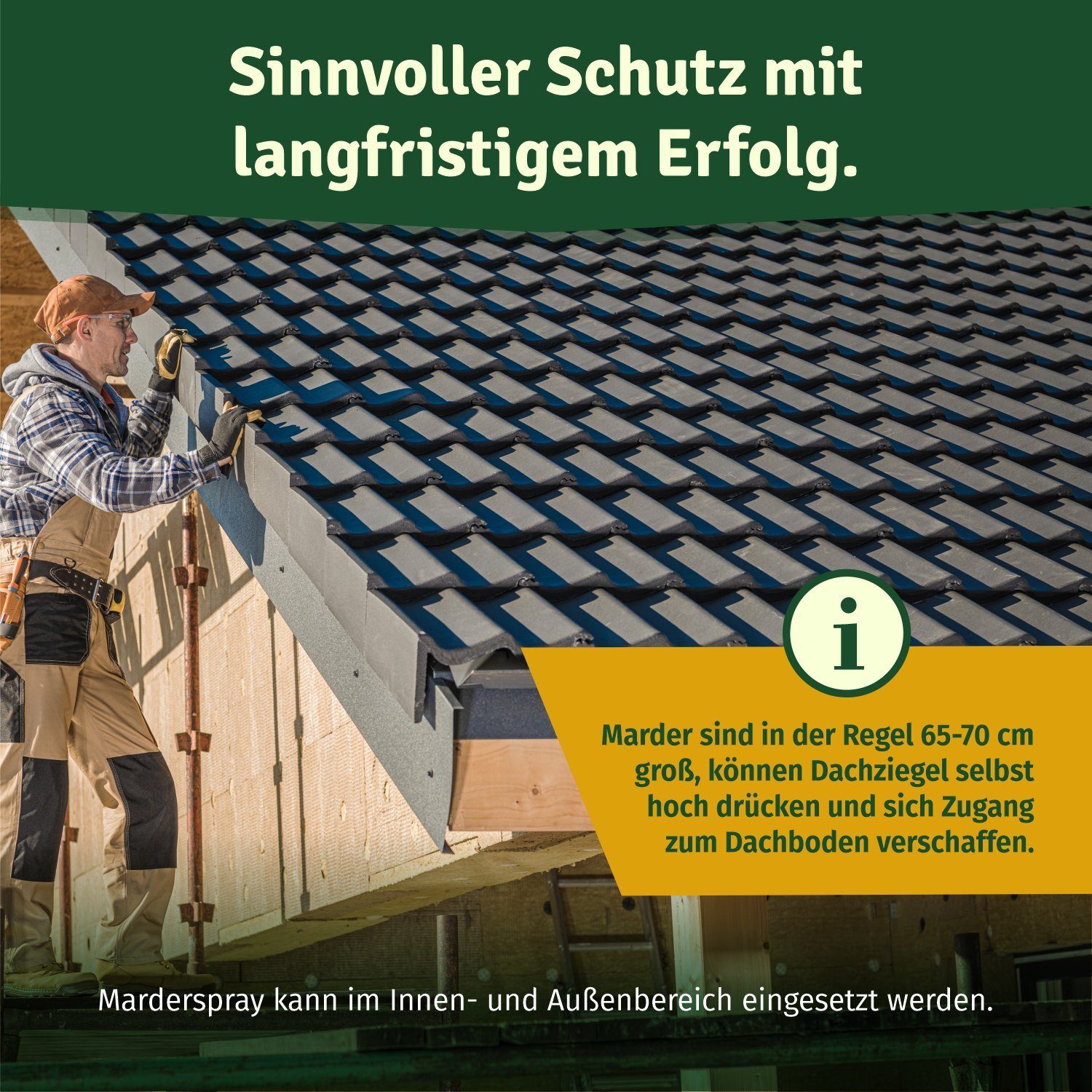 Veddelholzer Marderspray Auto Dachboden & Garage 400 ml Sofortiger Langfristiger Schutz Marder, 400 ml, Marderschreck Made in Germany, Sofortiger & Langfristiger Schutz für Marder, Marderabwehr für Auto, Garten, Garage und Dachboden